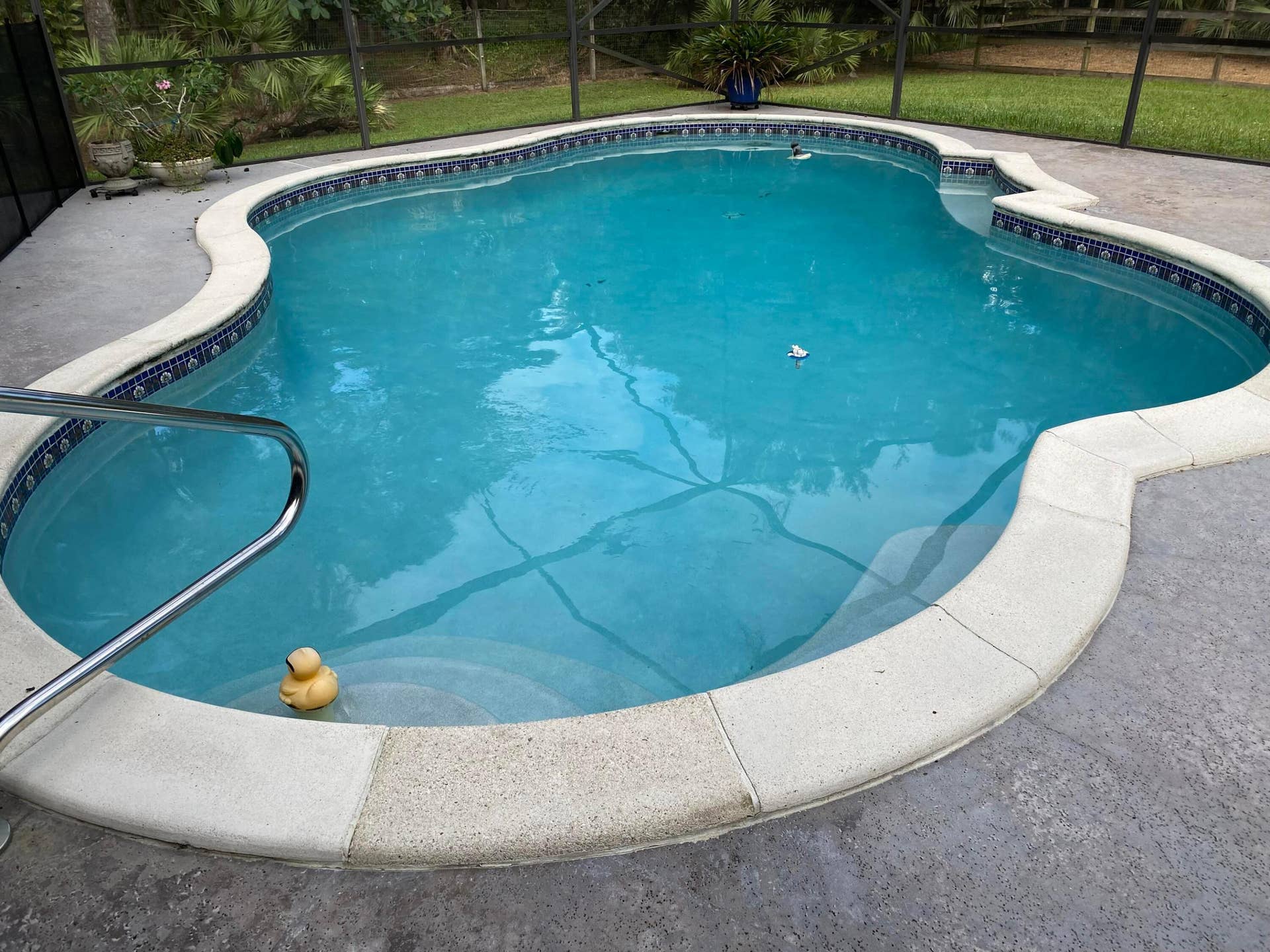 10245 N 157 Street N, Jupiter, Jupiter, FL 33478 Pool