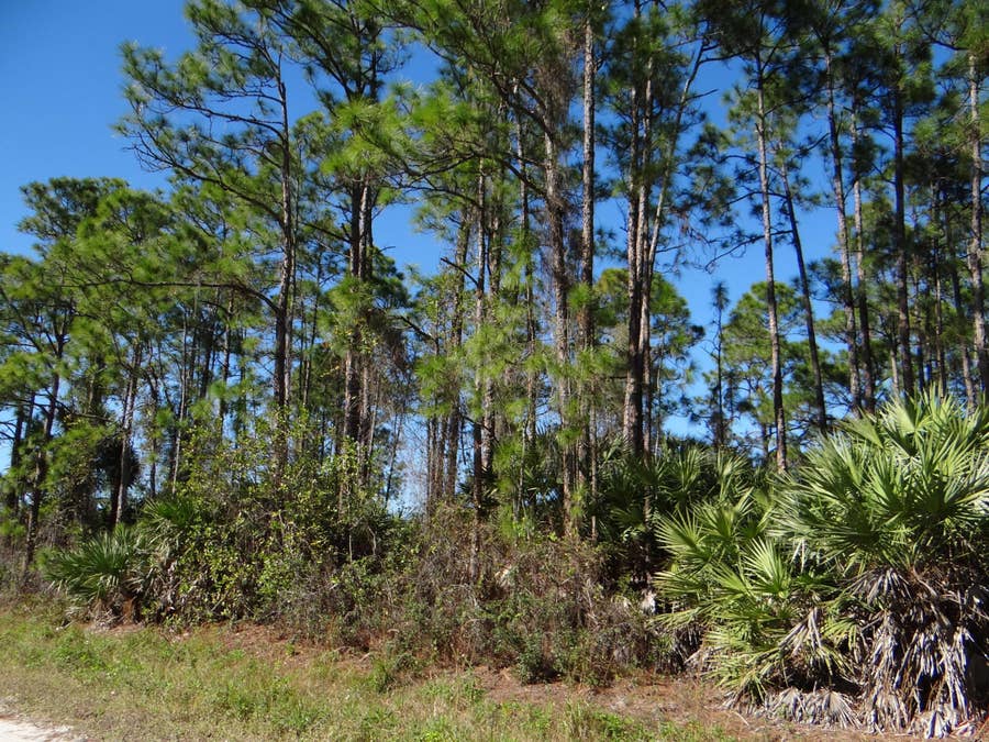 Property photo for L-28 N 67 Court N, The Acreage, FL