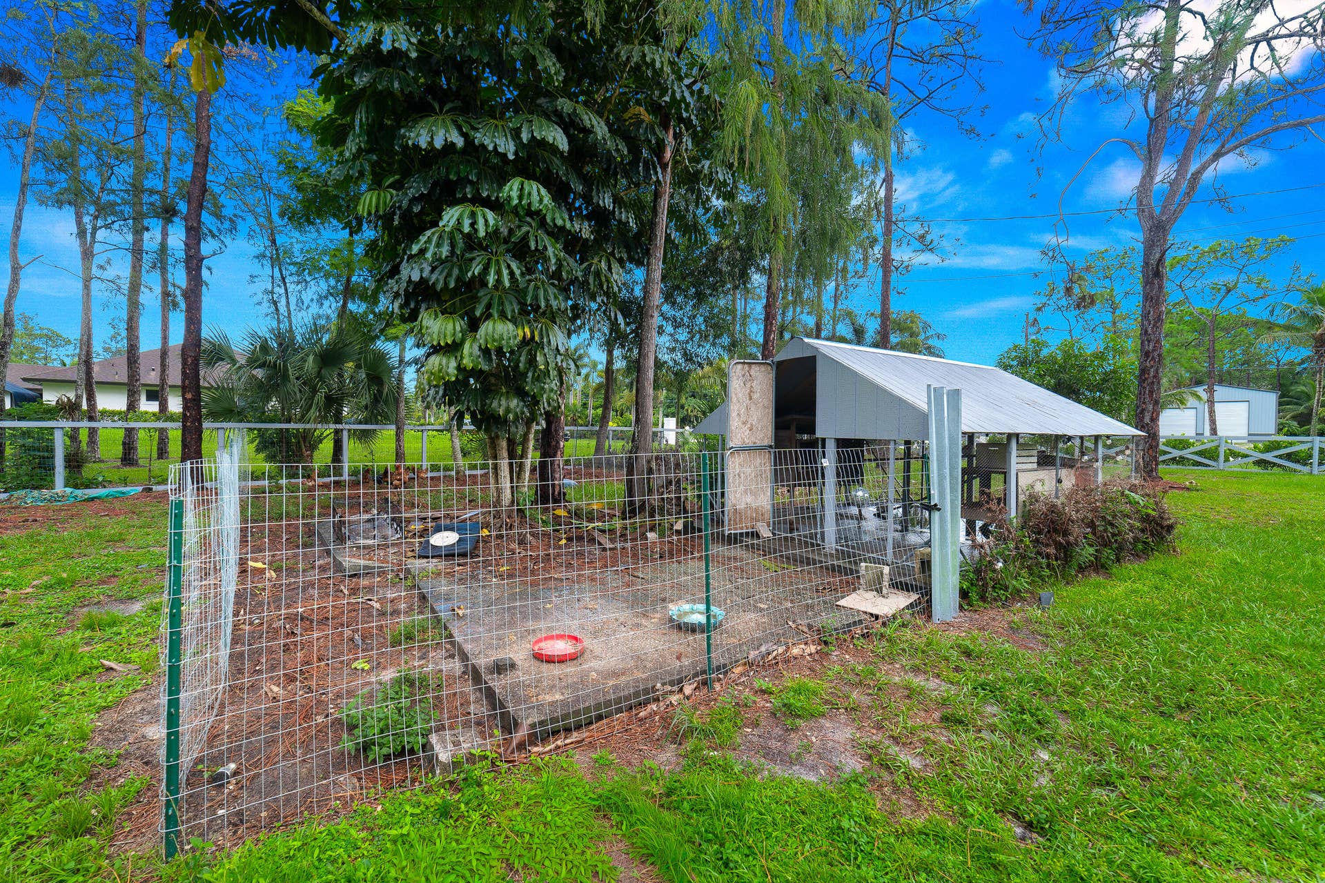 15621 Citrus Grove Boulevard, Loxahatchee, FL 33470 DSC08897