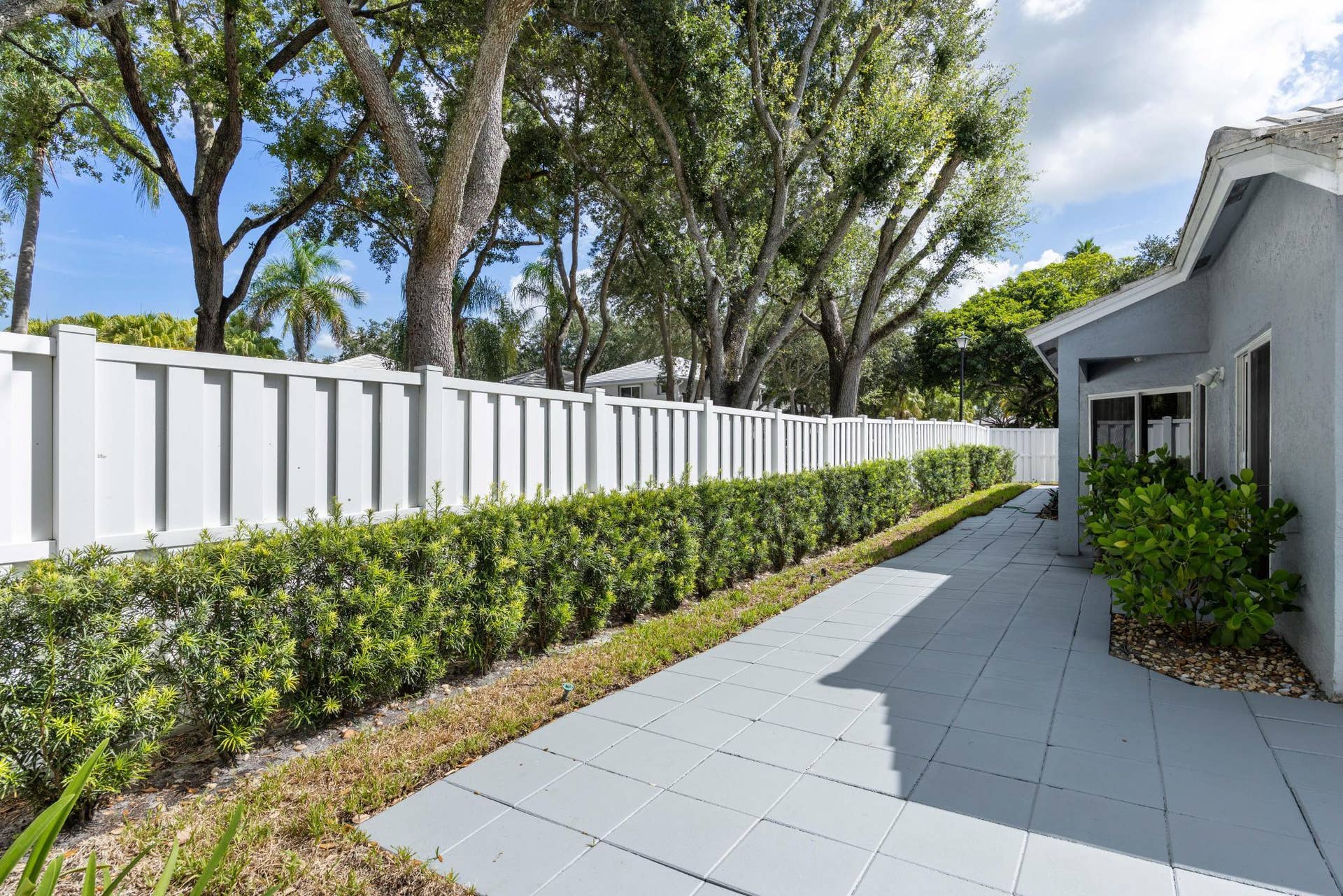 9822 backyard 3