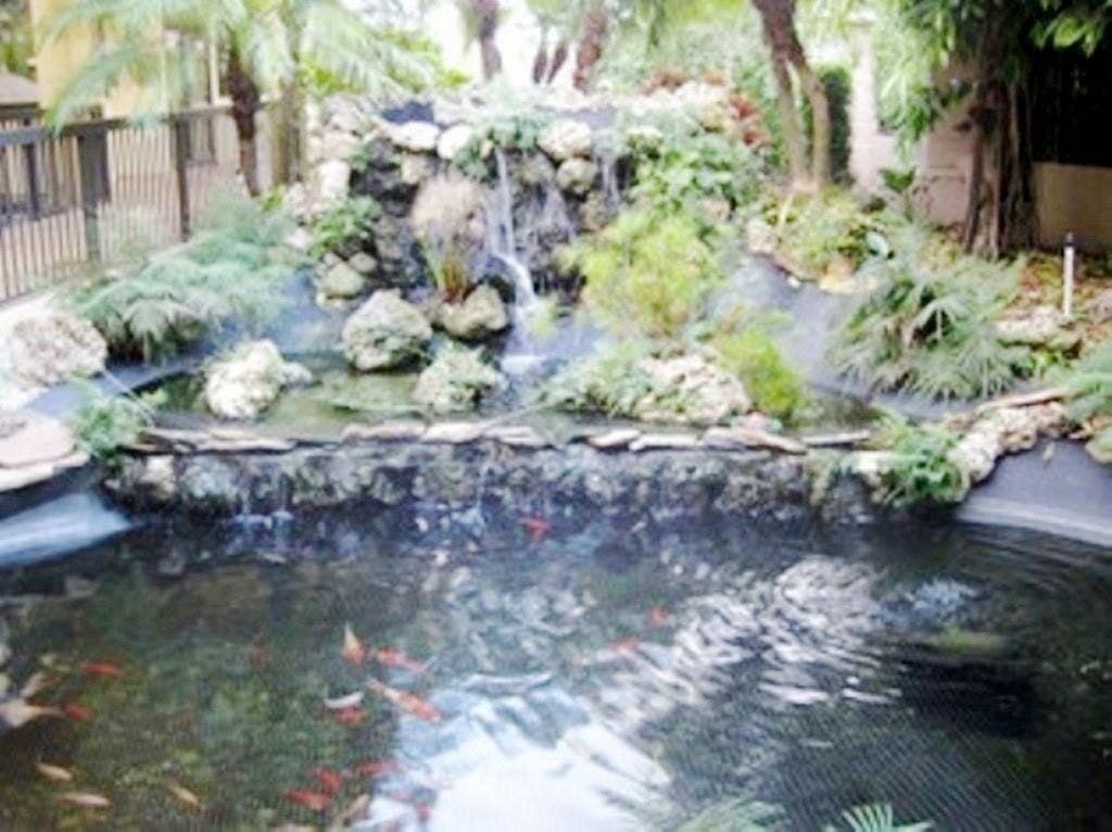 2900 NE 14th Street Causeway, #403, Pompano Beach, FL 33062 koi pond