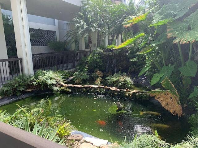 2900 NE 14th Street Causeway, #403, Pompano Beach, FL 33062 Koi Pond