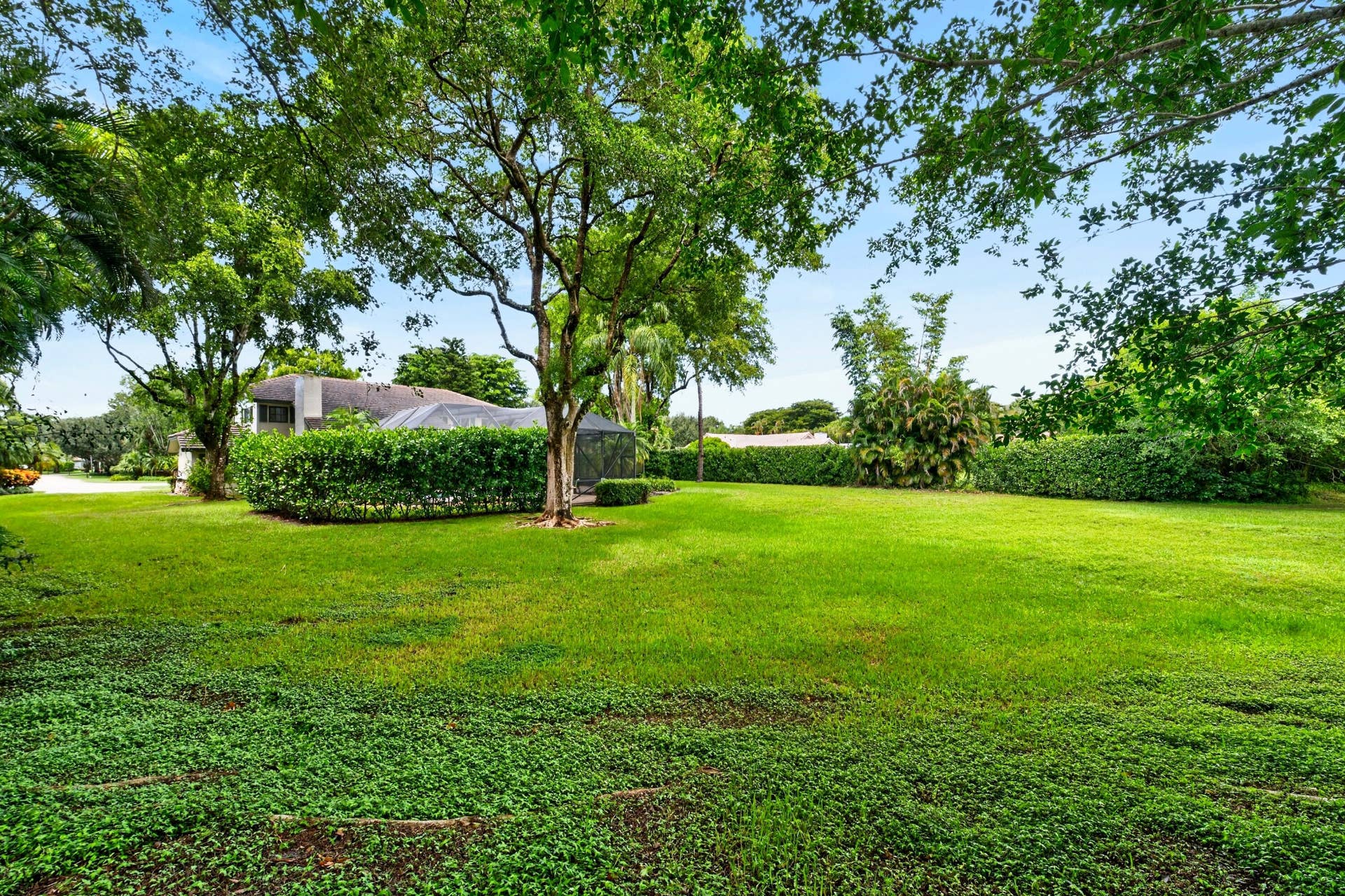 061-046-Side Yard-4000x2666