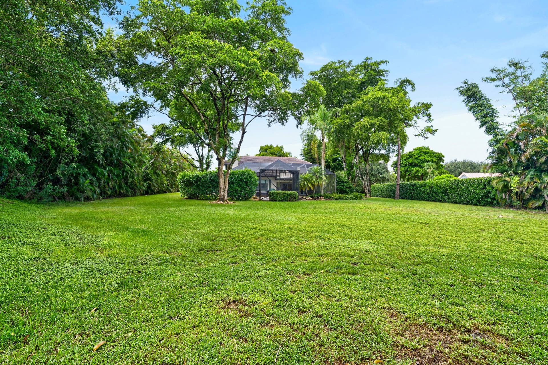 060-049-Back Yard-4000x2666
