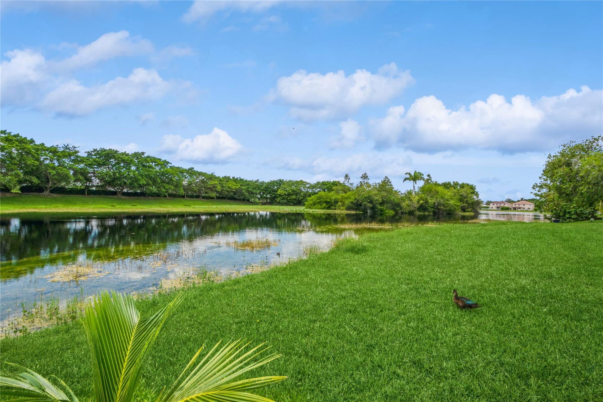 4367 DOGWOOD Circle, Weston, Weston, FL 33331 Photo 35