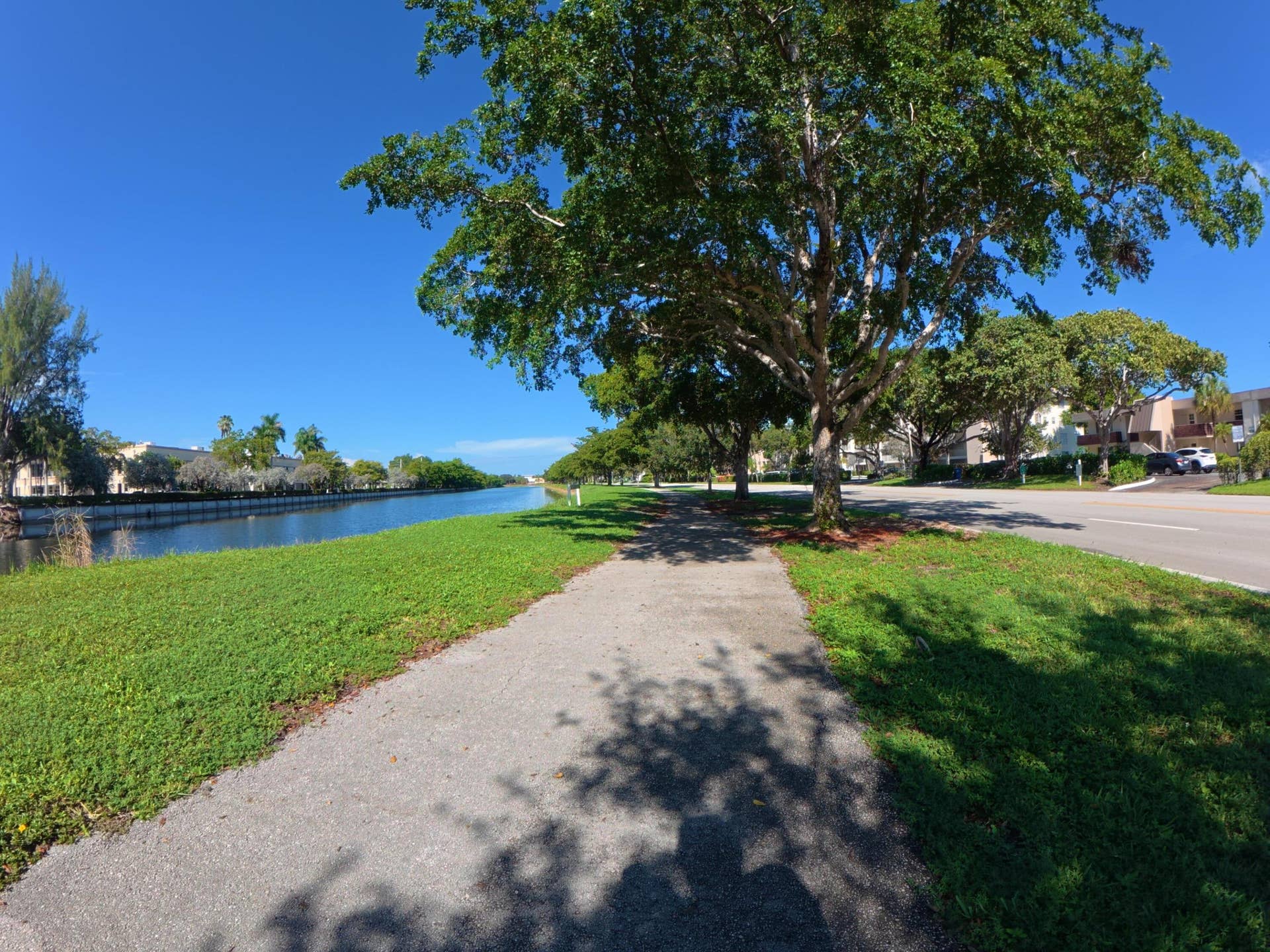 Walk Path