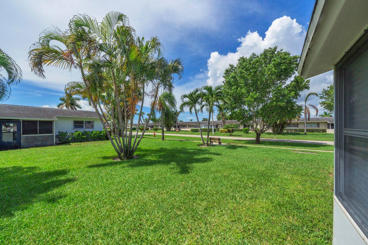5 Backyard (1)