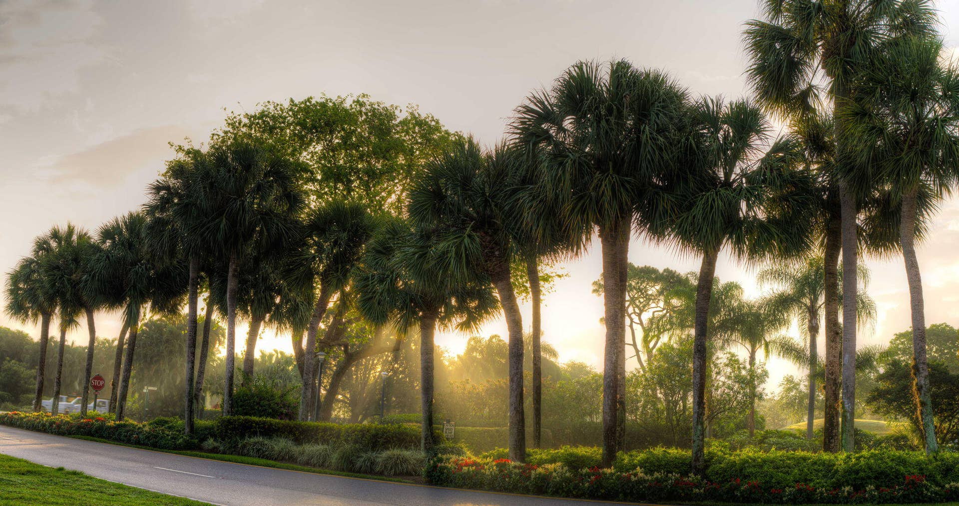 6805 Willow Wood Drive, #5051, Boca Raton, FL 33434 52-web-or-mls-Boca West CC Golf c4-road