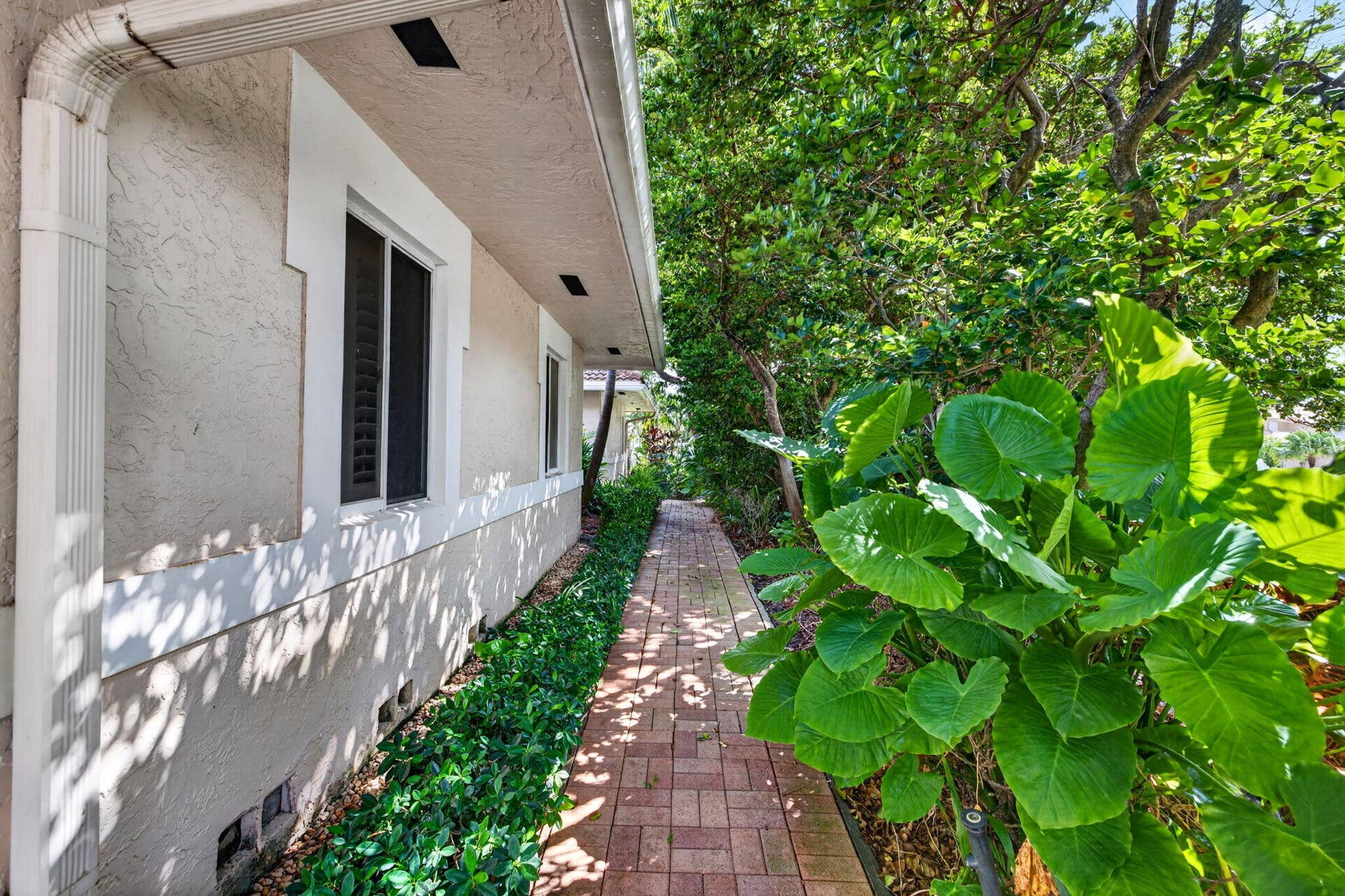 1920 E Terra Mar Drive, Lauderdale By The Sea, FL 33062 5-web-or-mls-699A8486