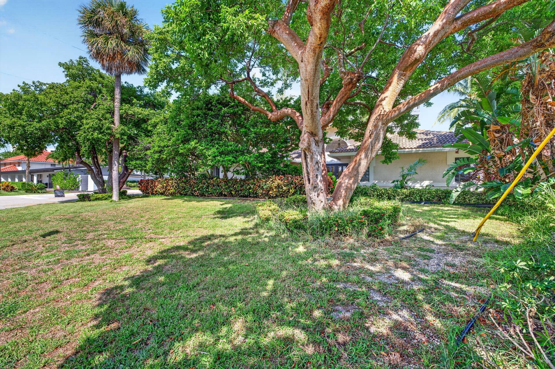 1920 E Terra Mar Drive, Lauderdale By The Sea, FL 33062 1-web-or-mls-699A8461