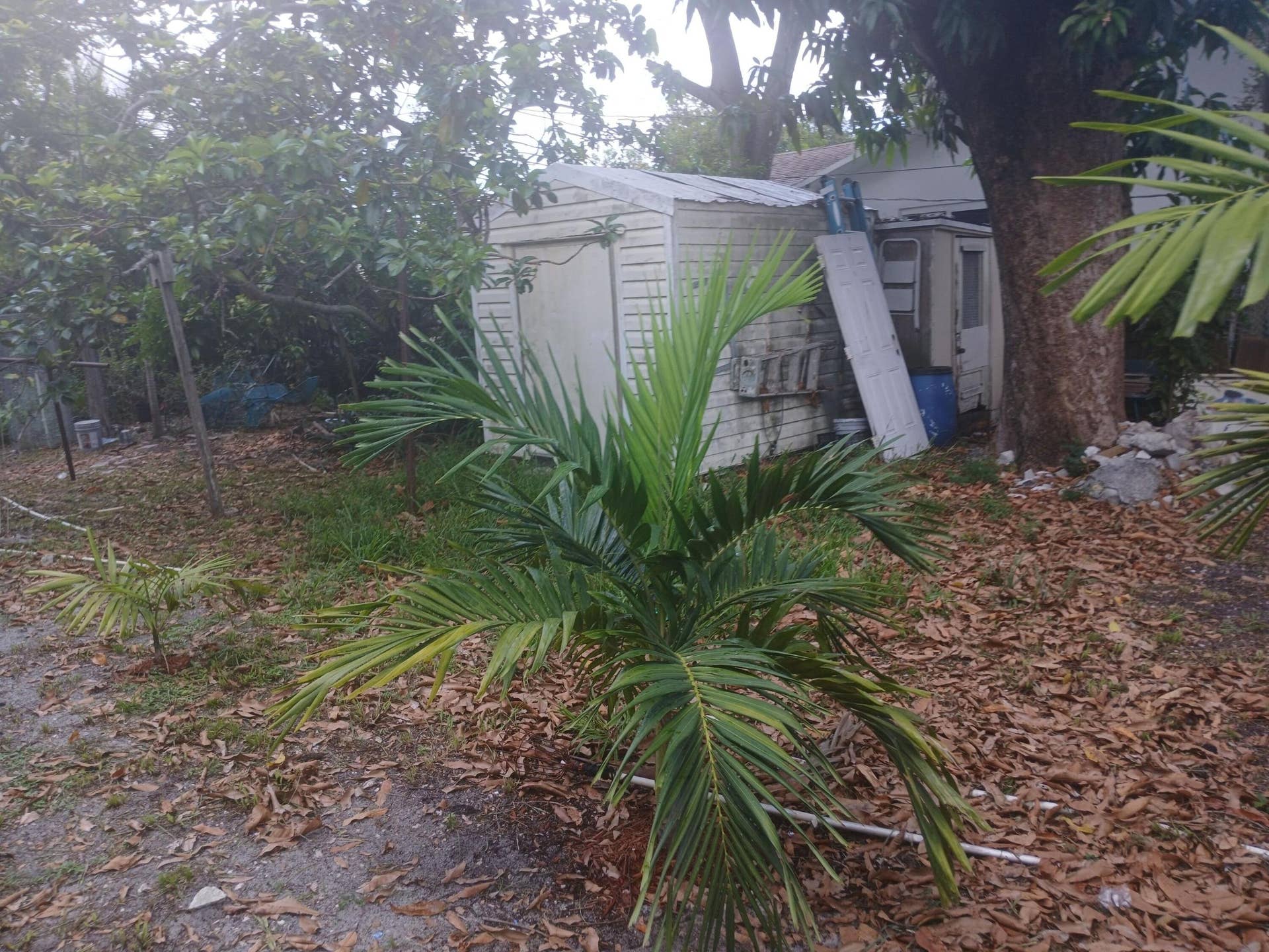 330 SW 14TH Street, Dania Beach, FL 33004 20260902_144158 (1) (1)