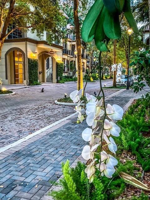 2631 NE 14TH Avenue, #316, Wilton Manors, FL 33334 Photo 39