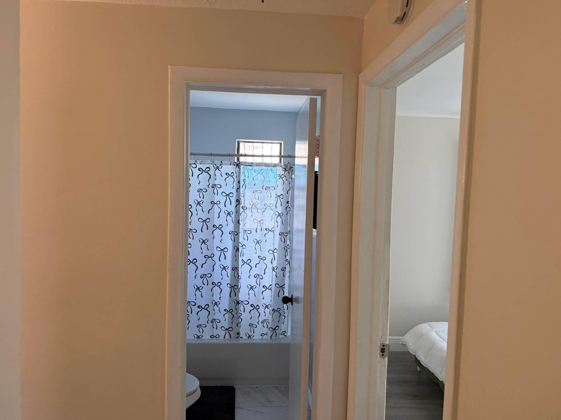91 NE 6TH Court, Deerfield Beach, FL 33441 Primary Bedroom