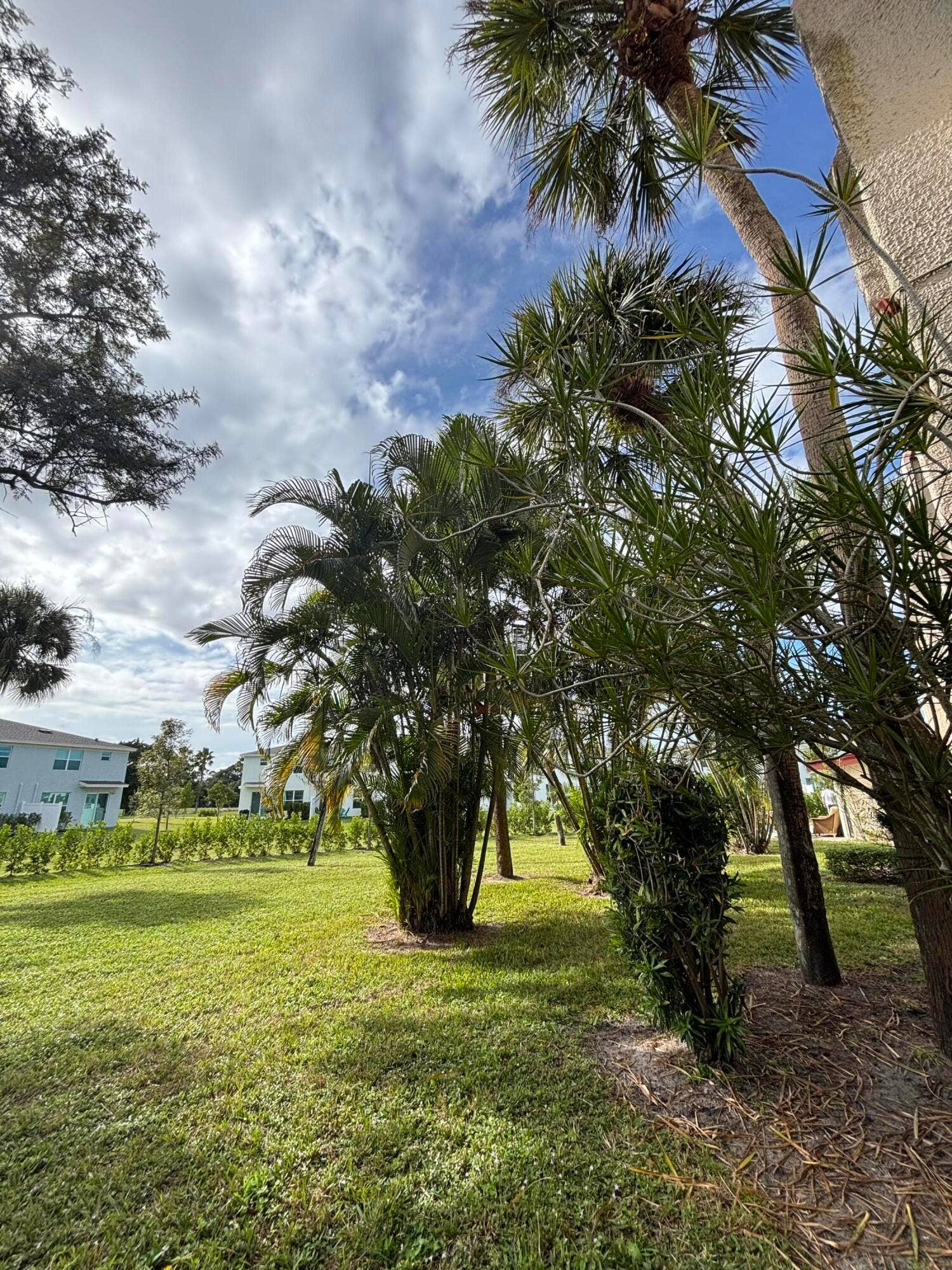 4393 Trevi Court, #106, Lake Worth, Lake Worth, FL 33467 IMG_4095