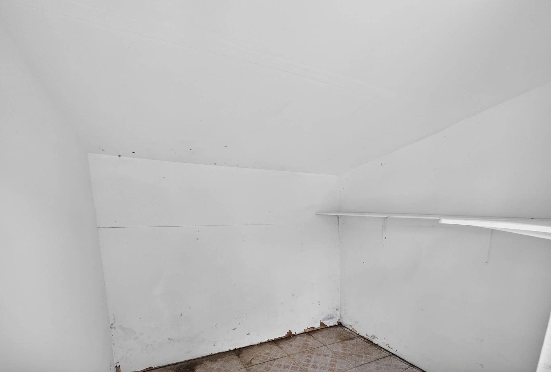 23-web-or-mls-b699A0682