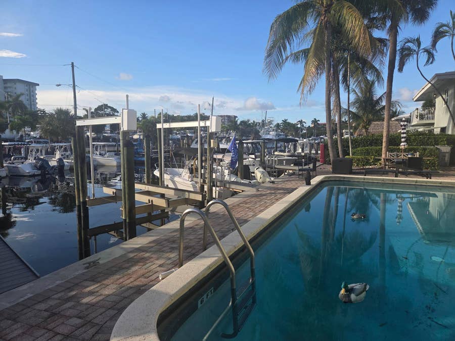 Property photo for 861 SE 22ND Avenue, #3, Pompano Beach, FL