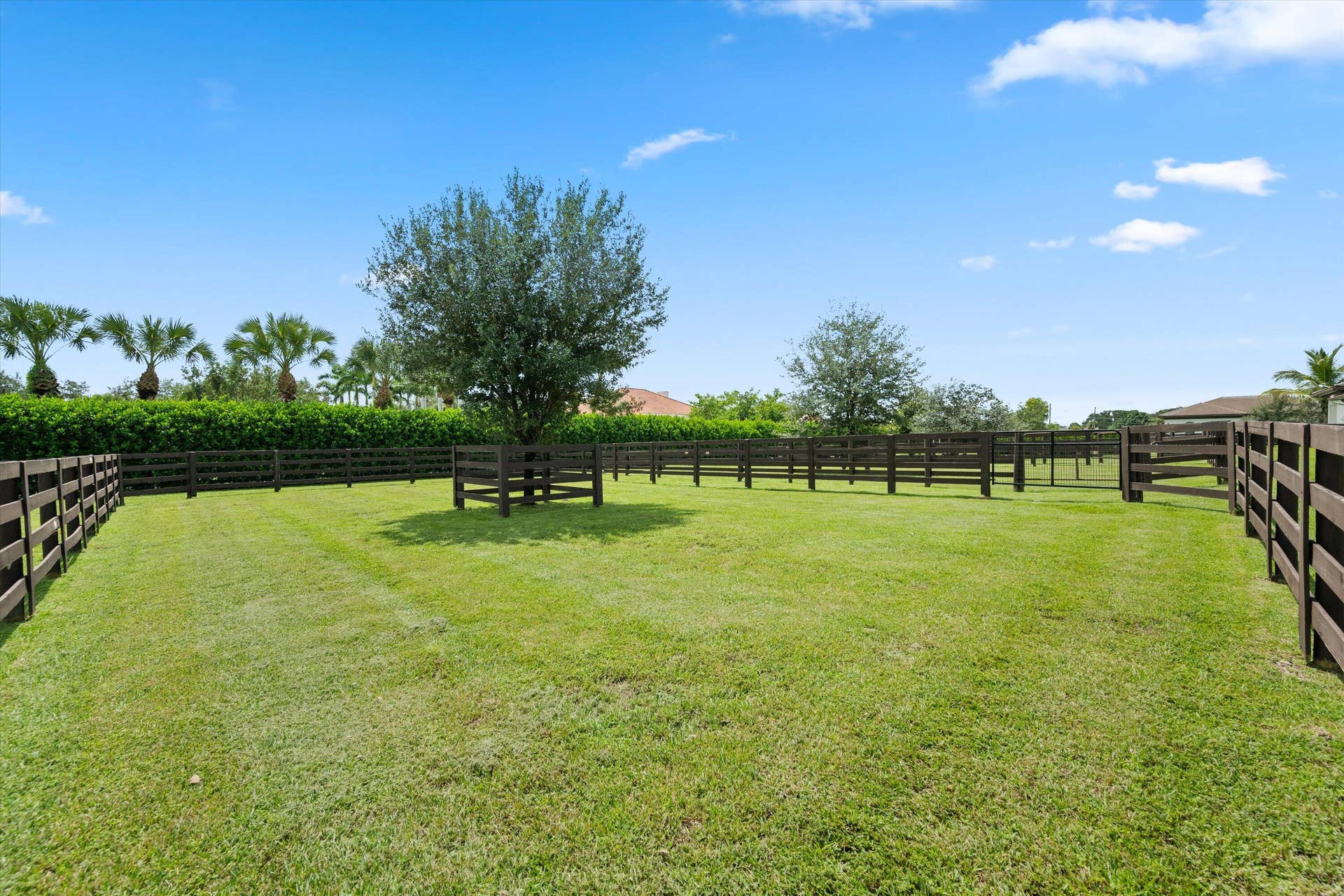 843 STALLION Drive, Loxahatchee, FL 33470 097-DSC_5910