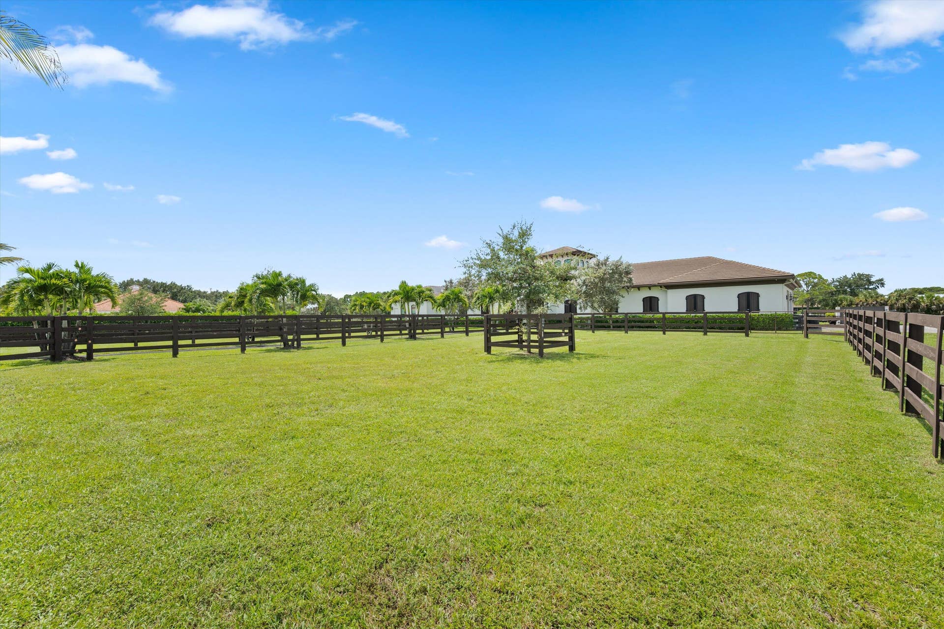 843 STALLION Drive, Loxahatchee, FL 33470 095-DSC_5781 copy