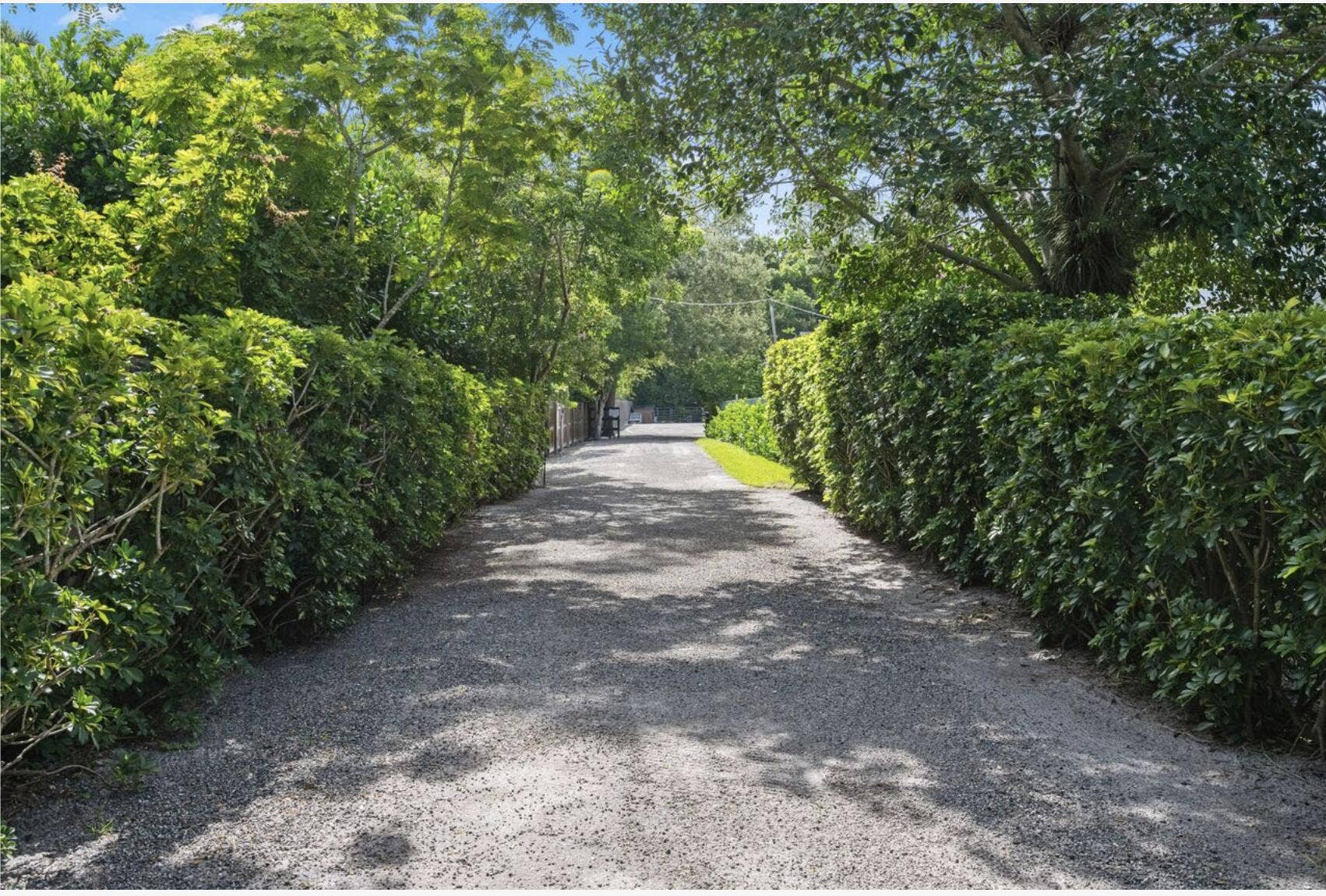843 STALLION Drive, Loxahatchee, FL 33470 Gravel driveway framed by mature, verdant hedges and established trees
