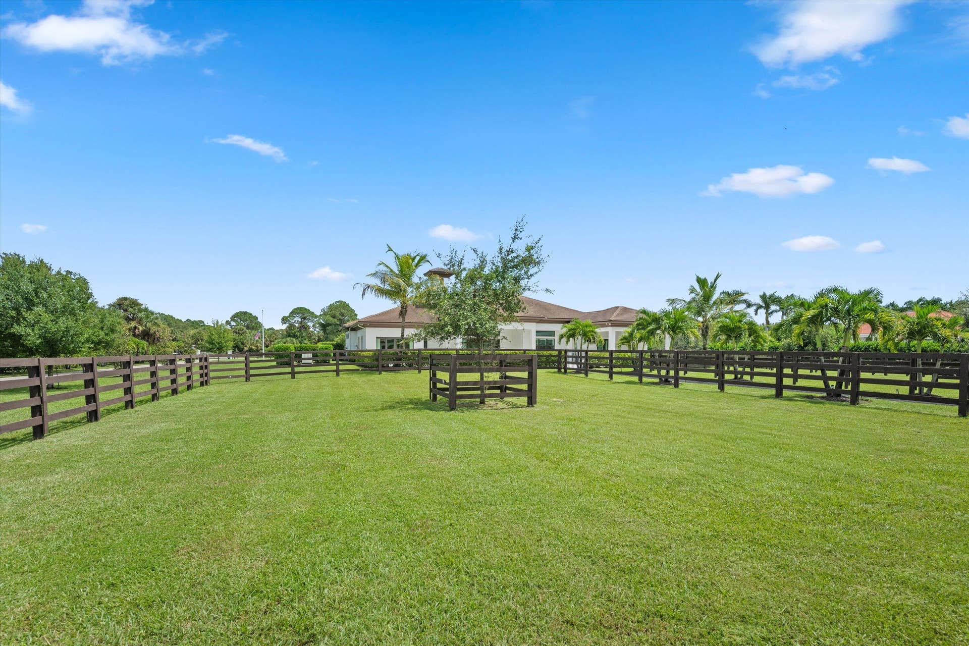 843 STALLION Drive, Loxahatchee, FL 33470 096-DSC_5793