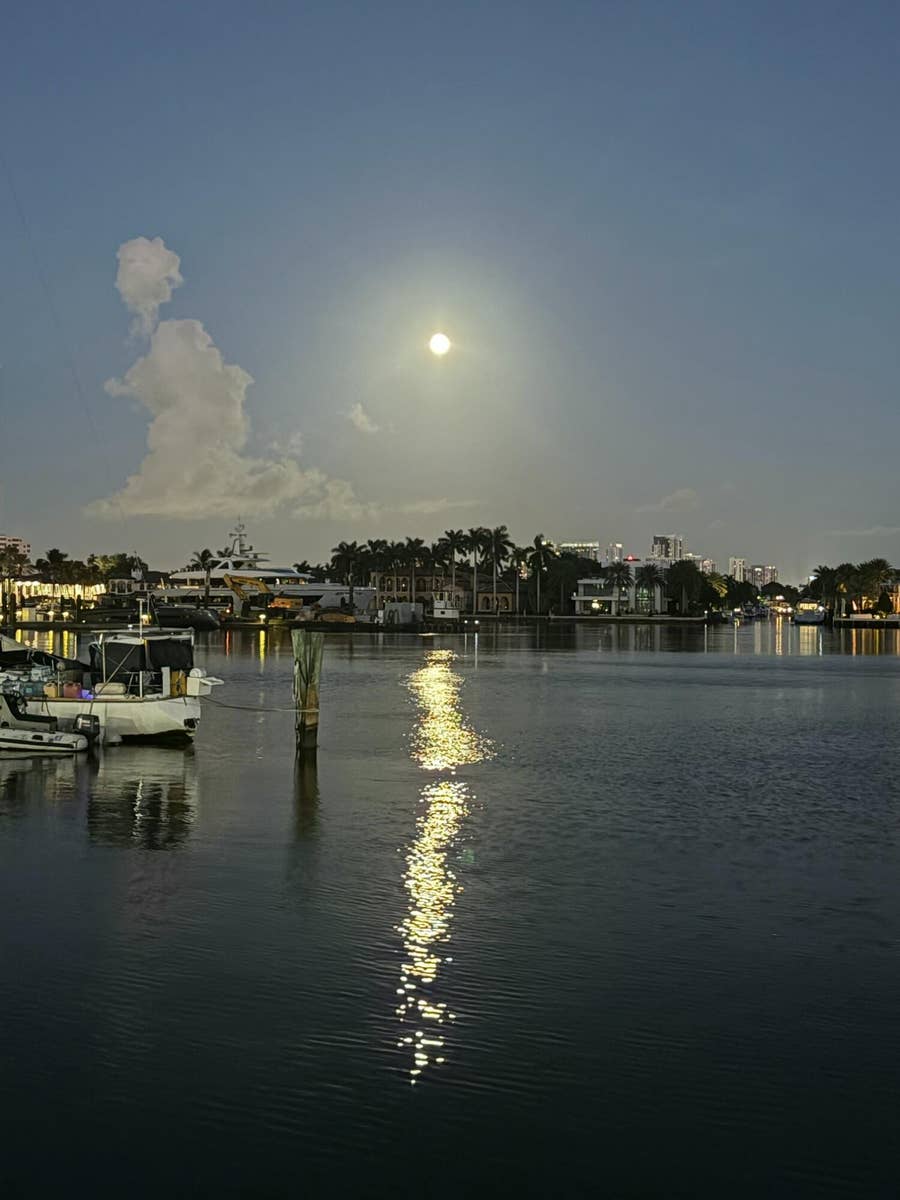 Property photo for 9 N BIRCH Road, #402, Fort Lauderdale, FL