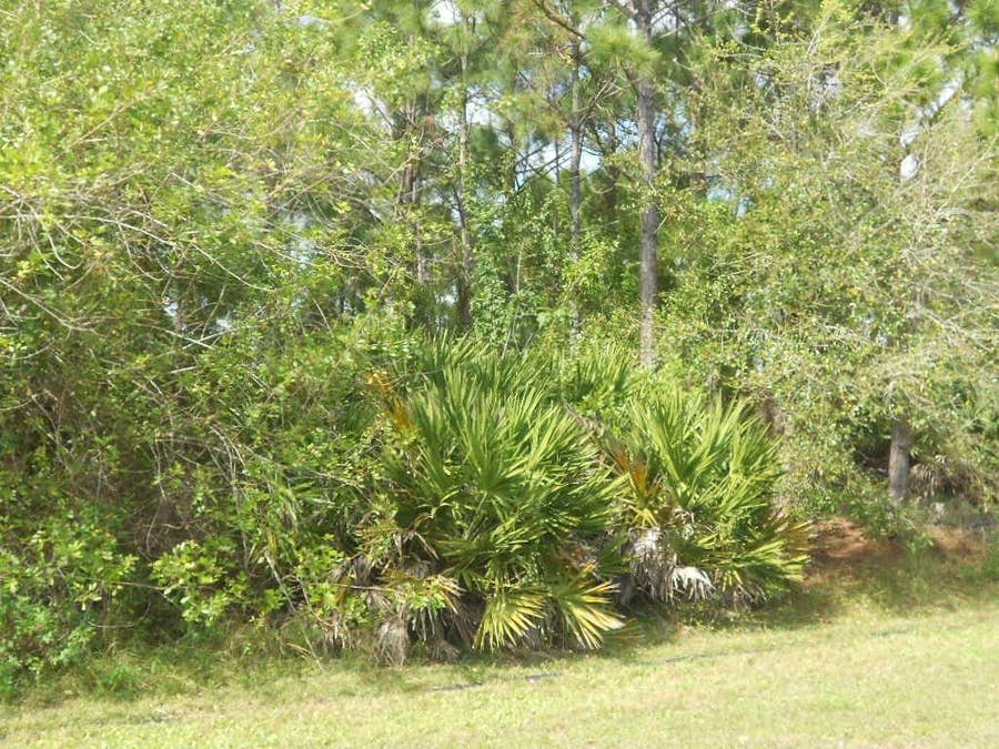 Property photo for . SE Gilson Road, FL