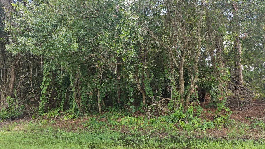 Property photo for 1757 SW Day Street, Port St Lucie, FL
