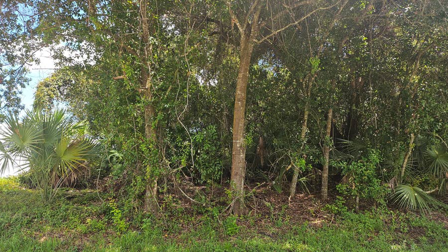 Property photo for 1743 SW Day Street, Port St Lucie, FL