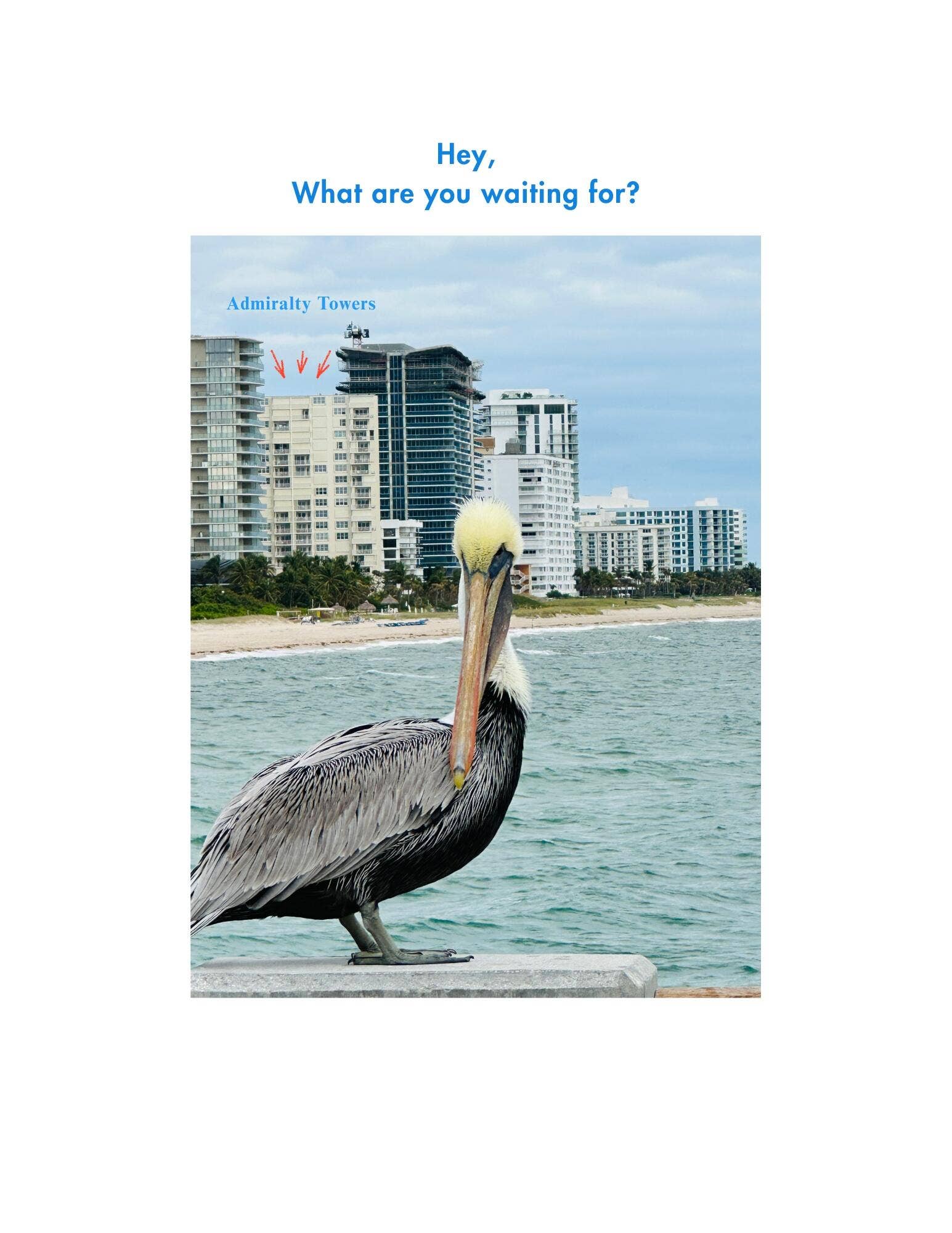750 N Ocean Boulevard, #707, Pompano Beach, FL 33062 use Bird