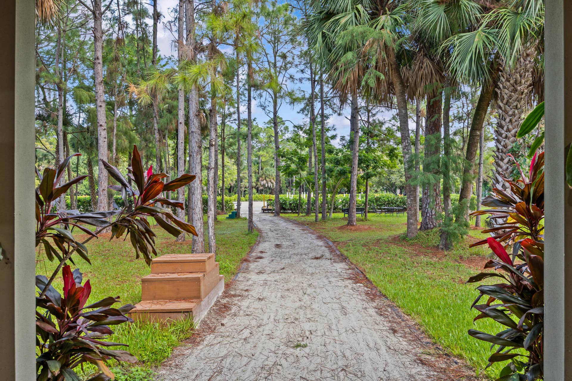 1711 Stallion Drive walk way to ring