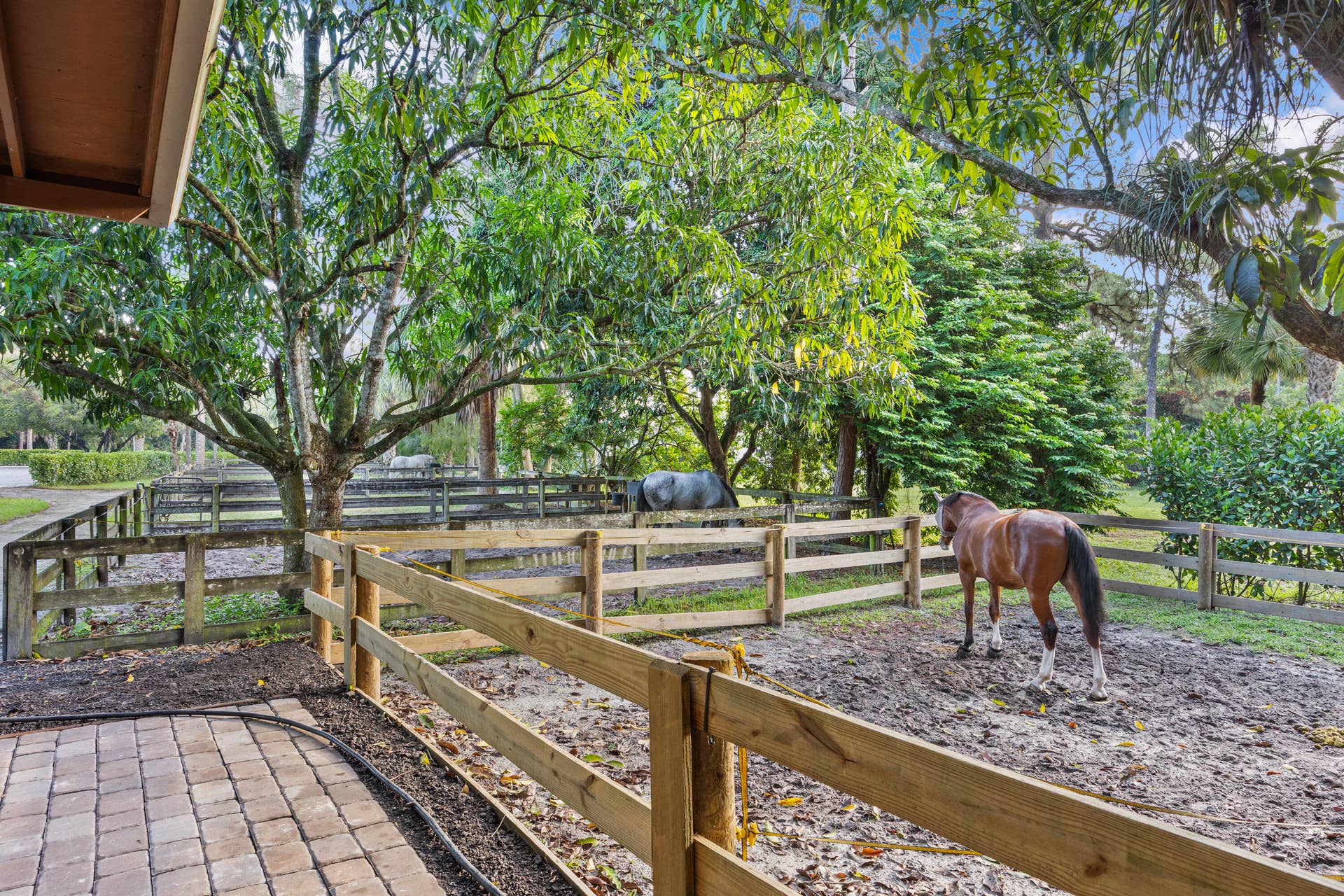 1711 Stallion Drive paddock