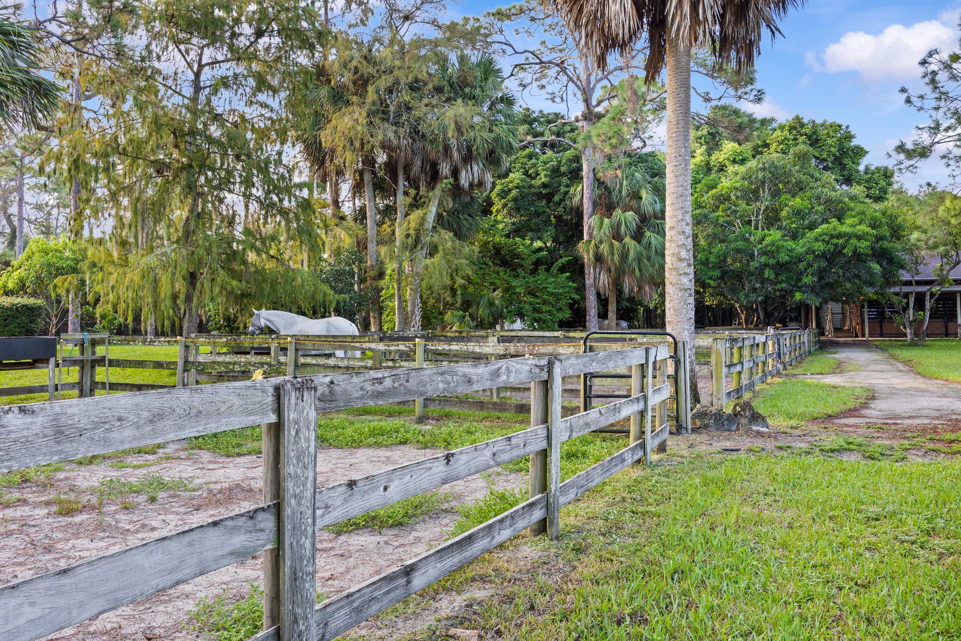1711 Stallion Drive paddocks
