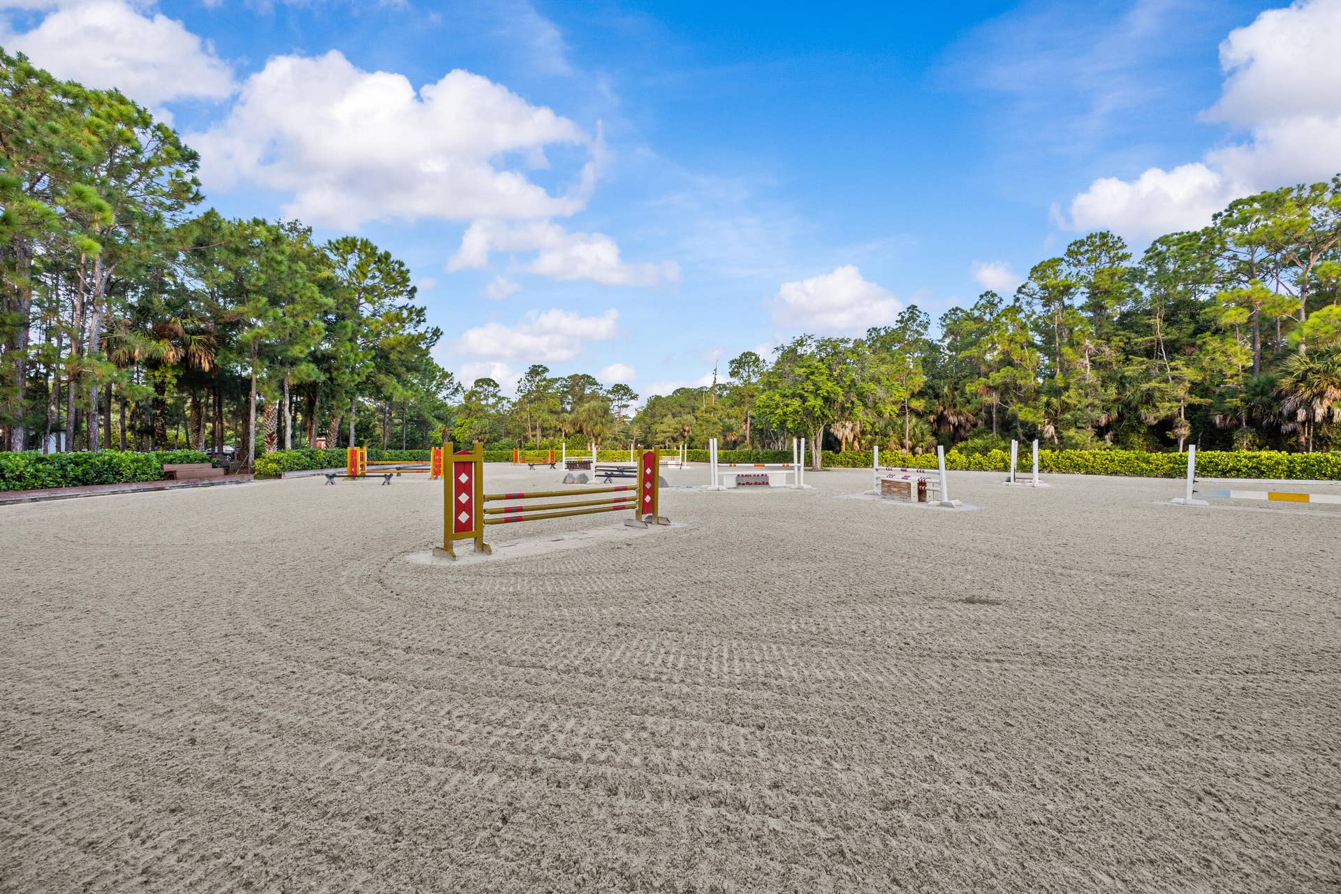 1711 Stallion Drive ring 1
