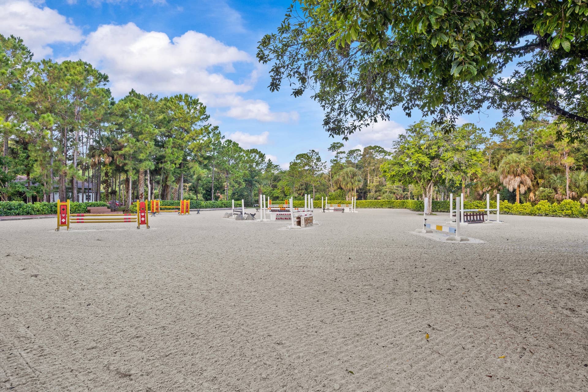 1711 Stallion Drive ring 2