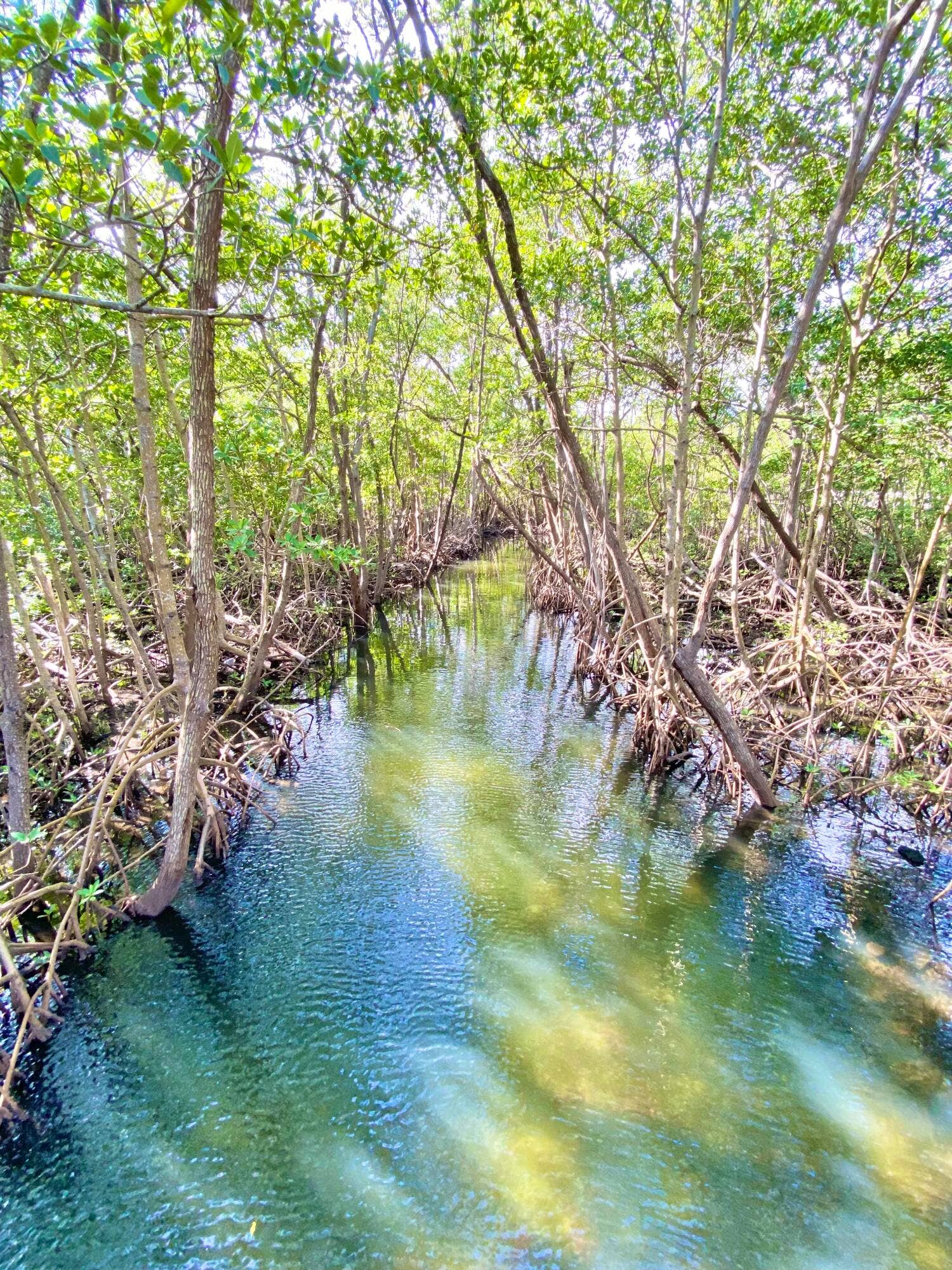 470 NE 45TH Street, Boca Raton, FL 33431 Lake Wyman Park