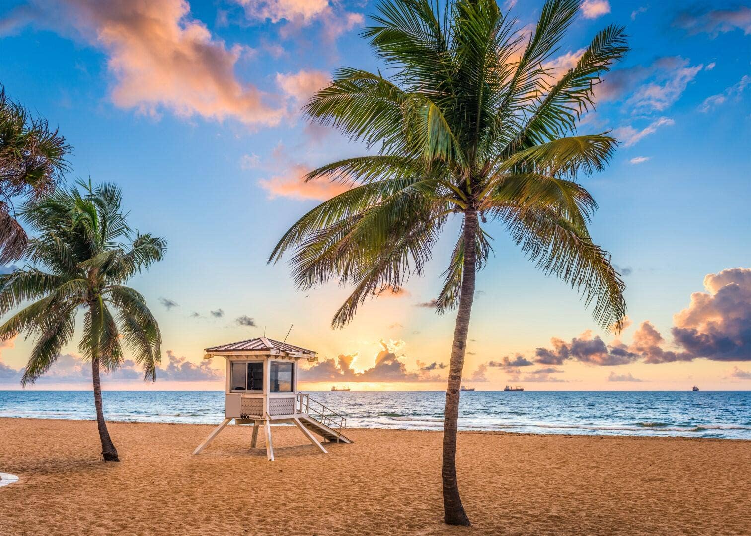 95 N Birch Road, #704, Fort Lauderdale, FL 33304 52