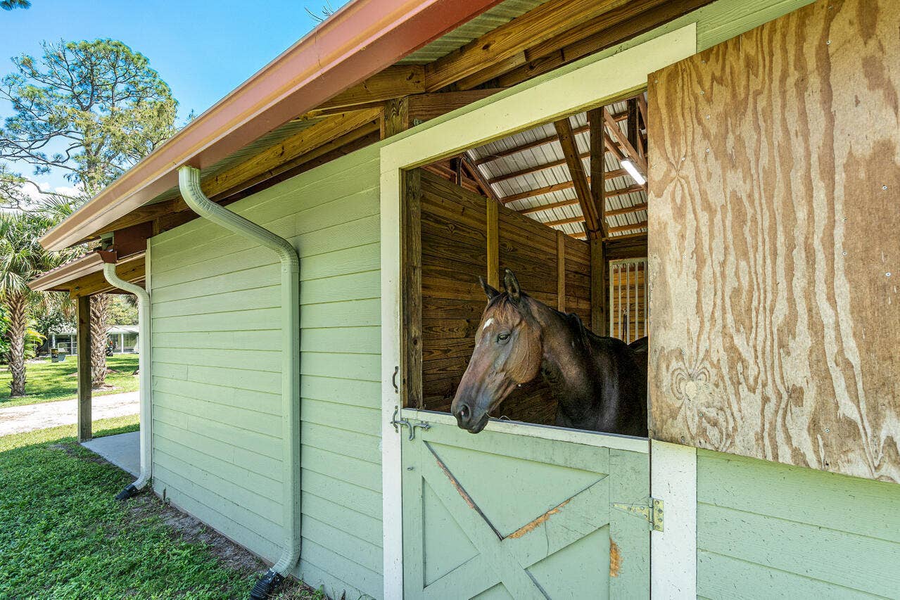 018-1835StallionDrive-Loxahatchee-FL-334