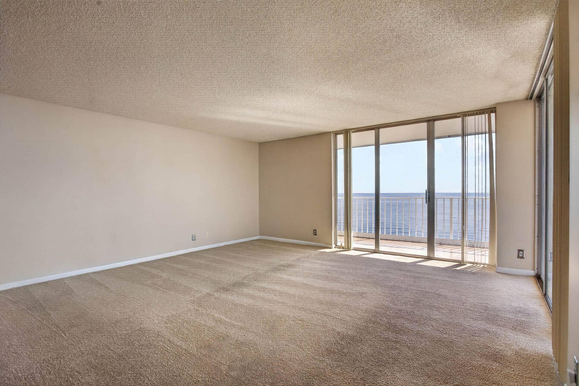 Large open concept Living/Dining Space