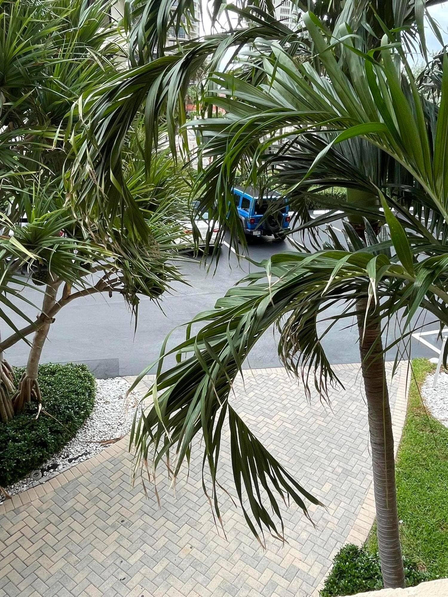 4200 N Ocean Drive W, #1-103, Riviera Beach, FL 33404 IMG_5433
