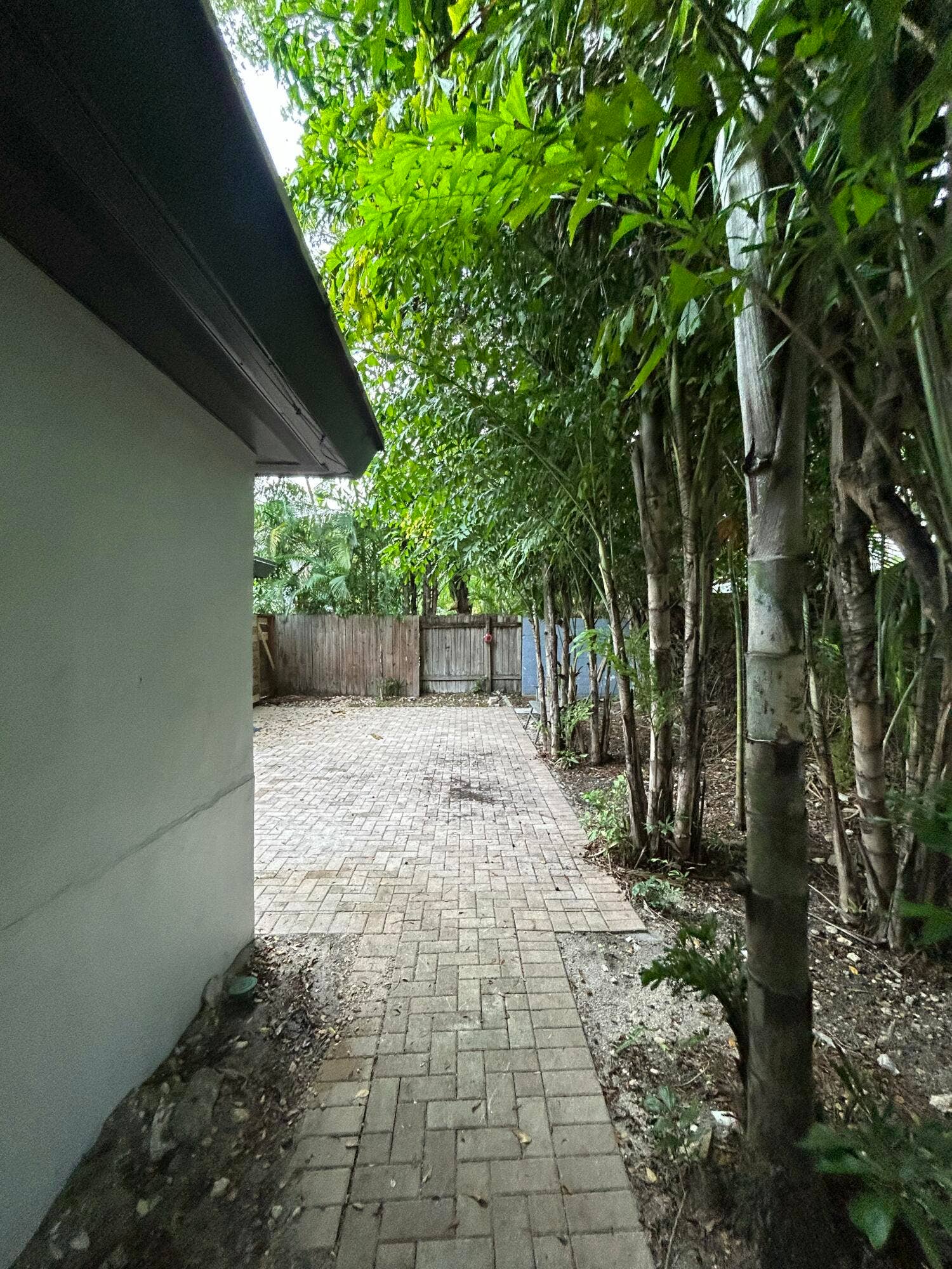 820 N Victoria Park Road, #5, Fort Lauderdale, Fort Lauderdale, FL 33304 IMG_3176