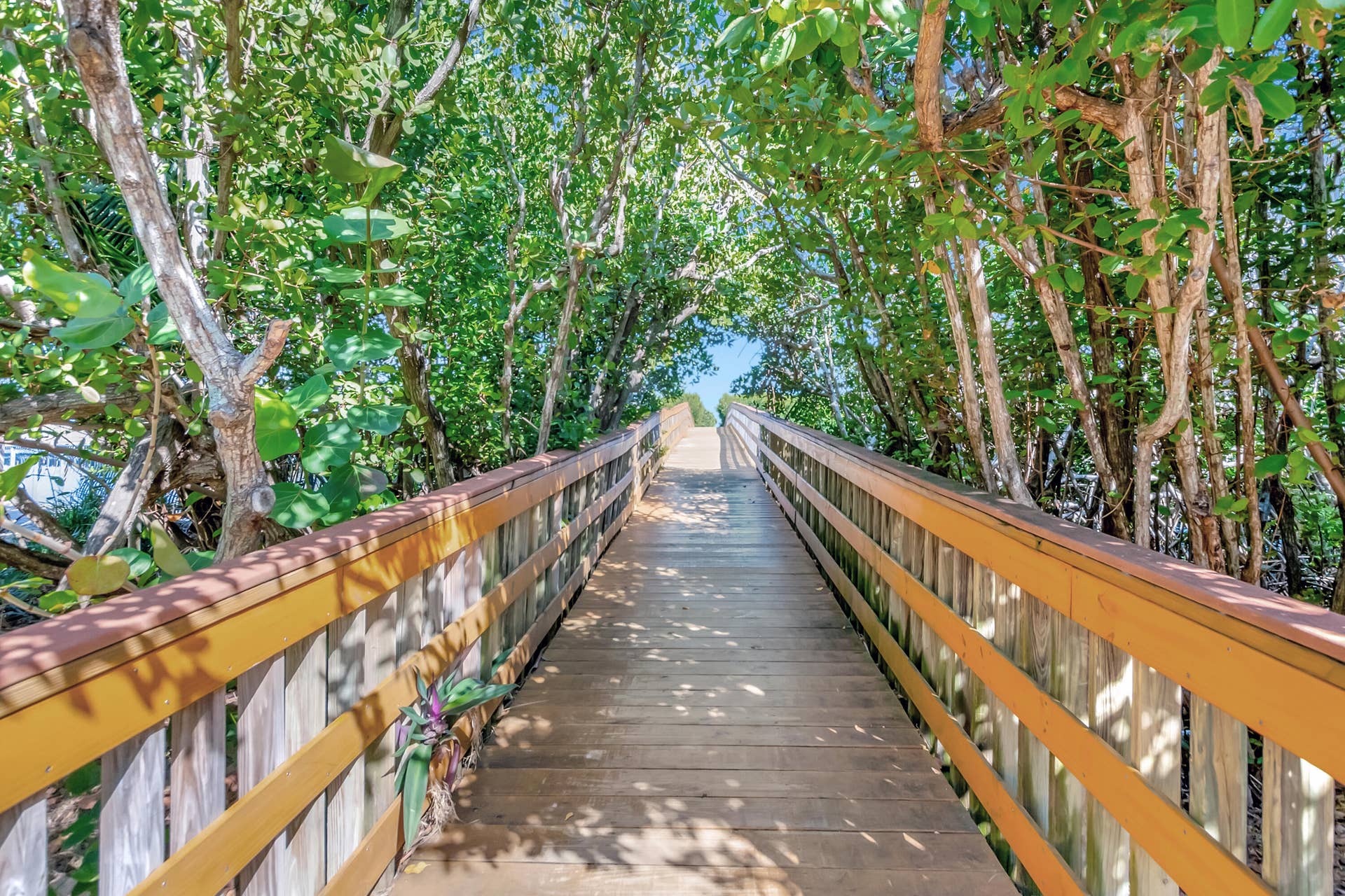 1776 BAY Drive, Pompano Beach, FL 33062 74-print-90-print-DSC_1129