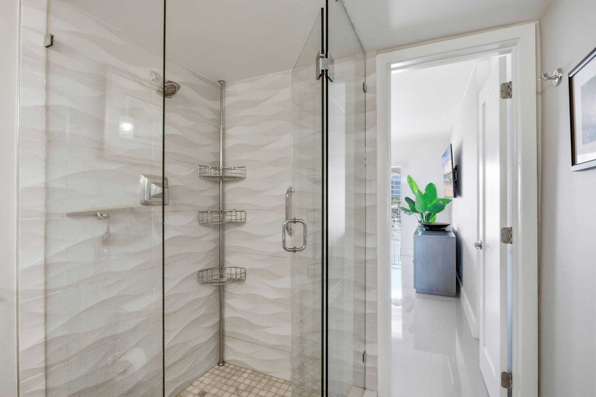 Primary Shower