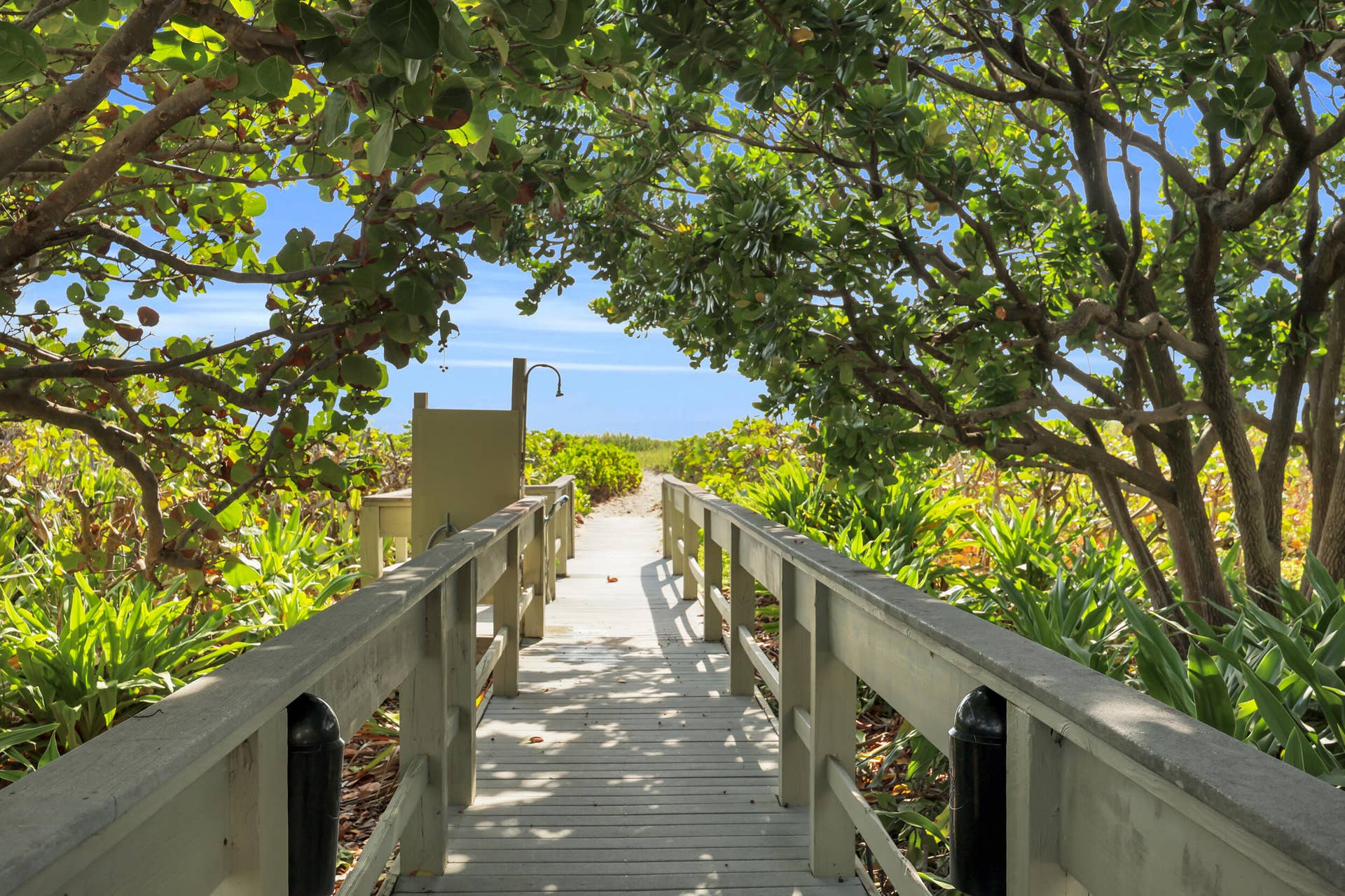 3400 N OCEAN Avenue, #1605, Singer Island, FL 33404 45_8p3a6606