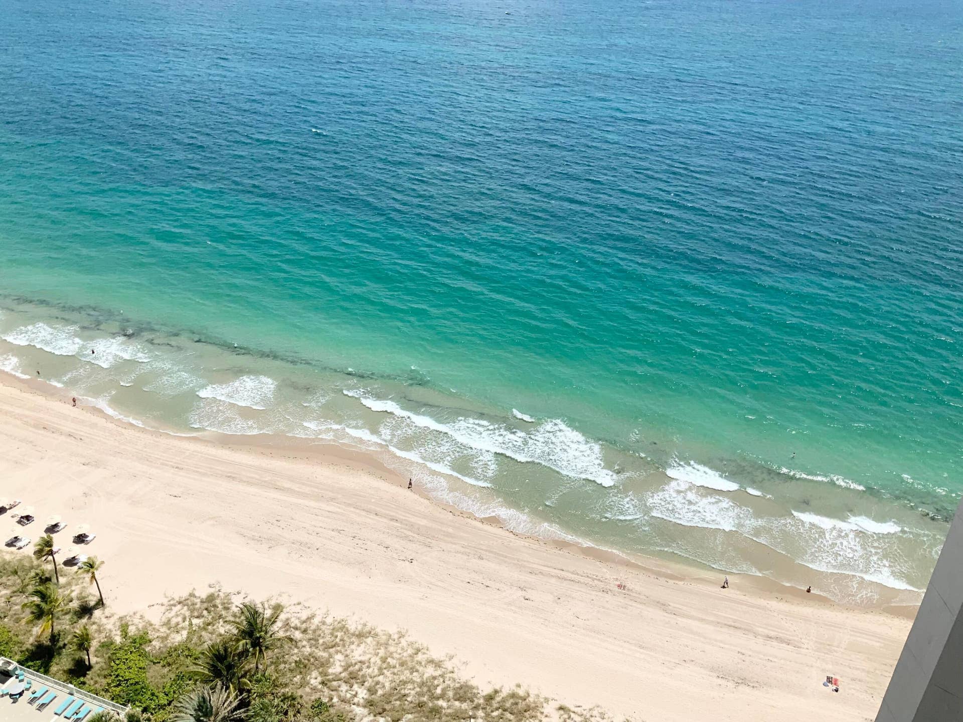 3200 N OCEAN Boulevard, #701, Fort Lauderdale, FL 33308 view