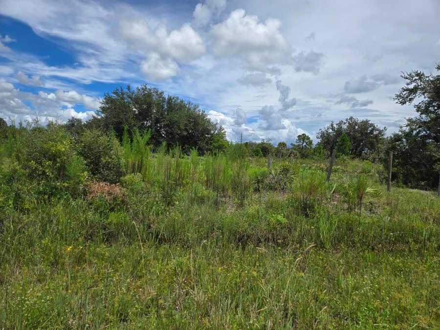 Property photo for 17707 NW 274th Street, Okeechobee, FL