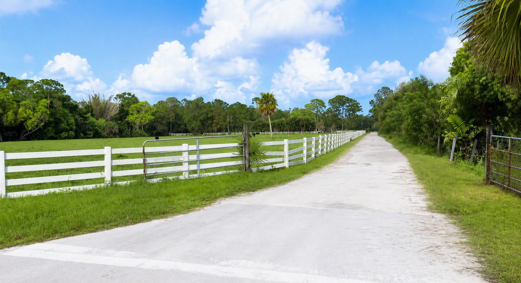 Expansive grassy field with a white three-rail fence, gravel driveway, and mature trees