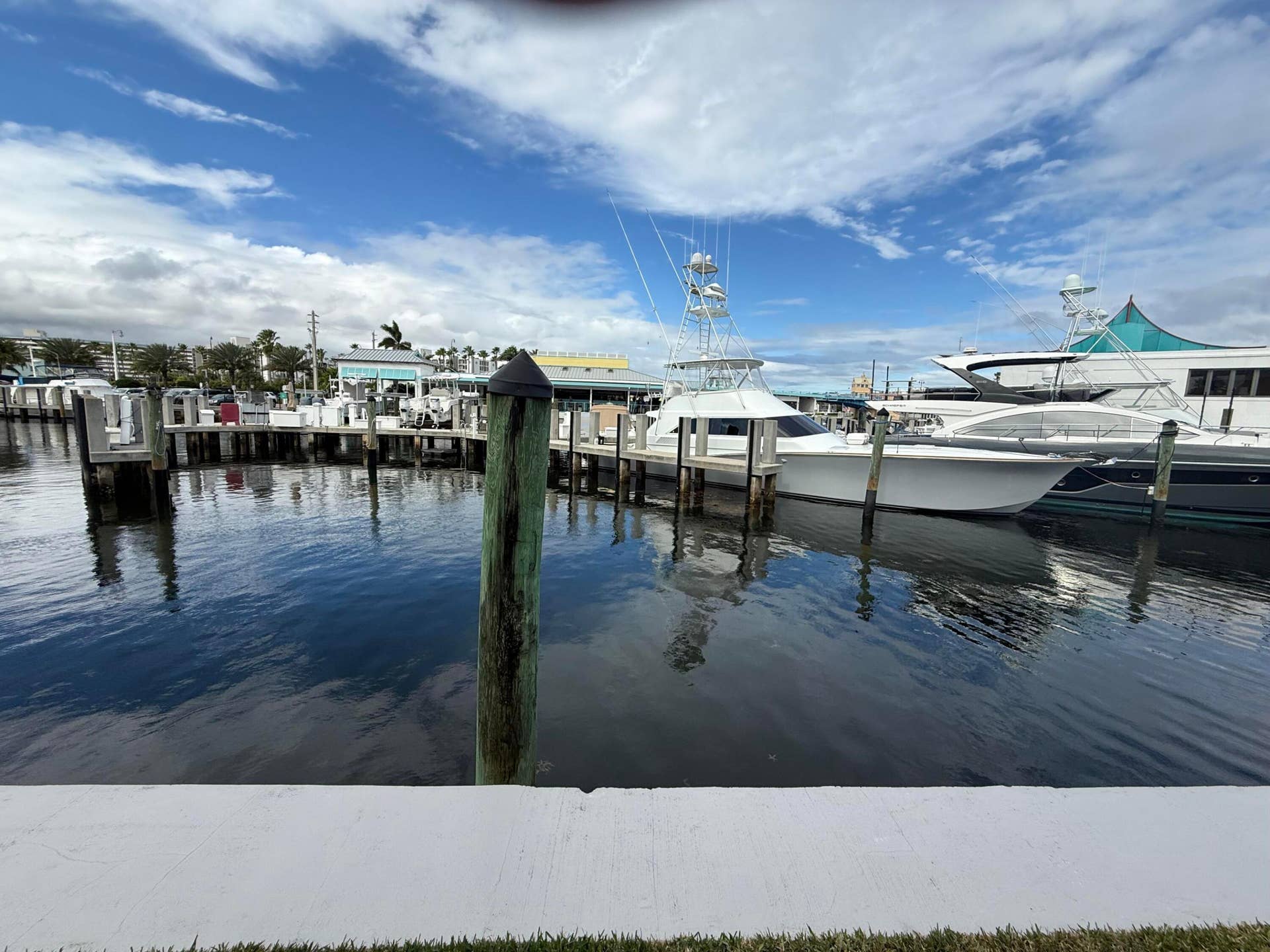 The Cove Marina