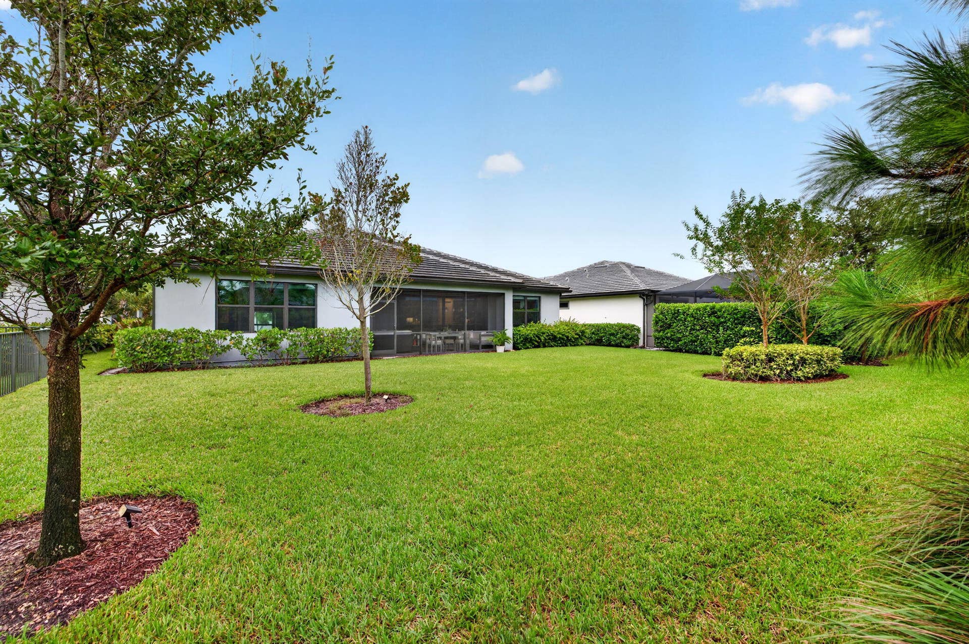 55-web-or-mls-699A6146