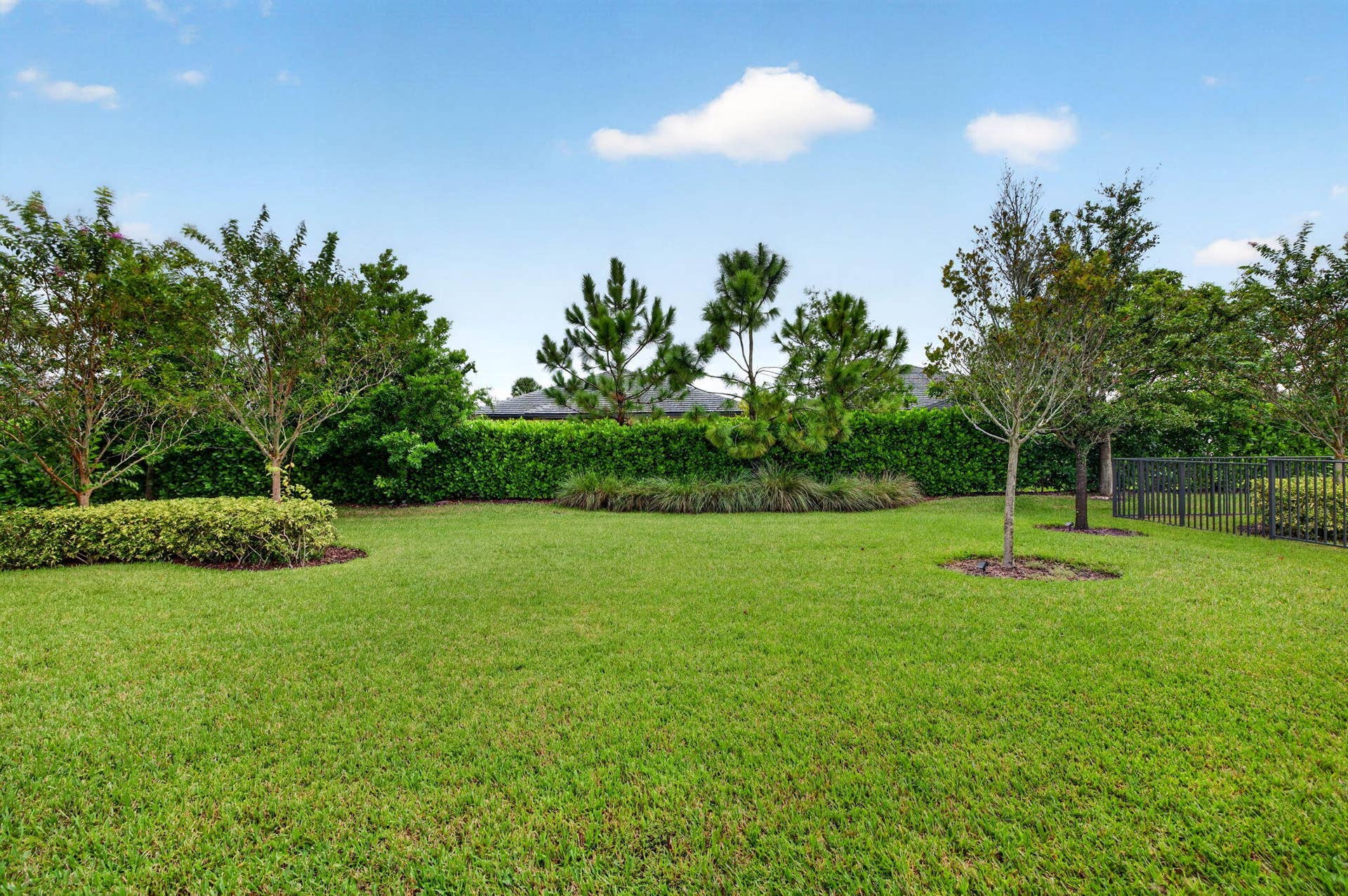 51-web-or-mls-699A6123
