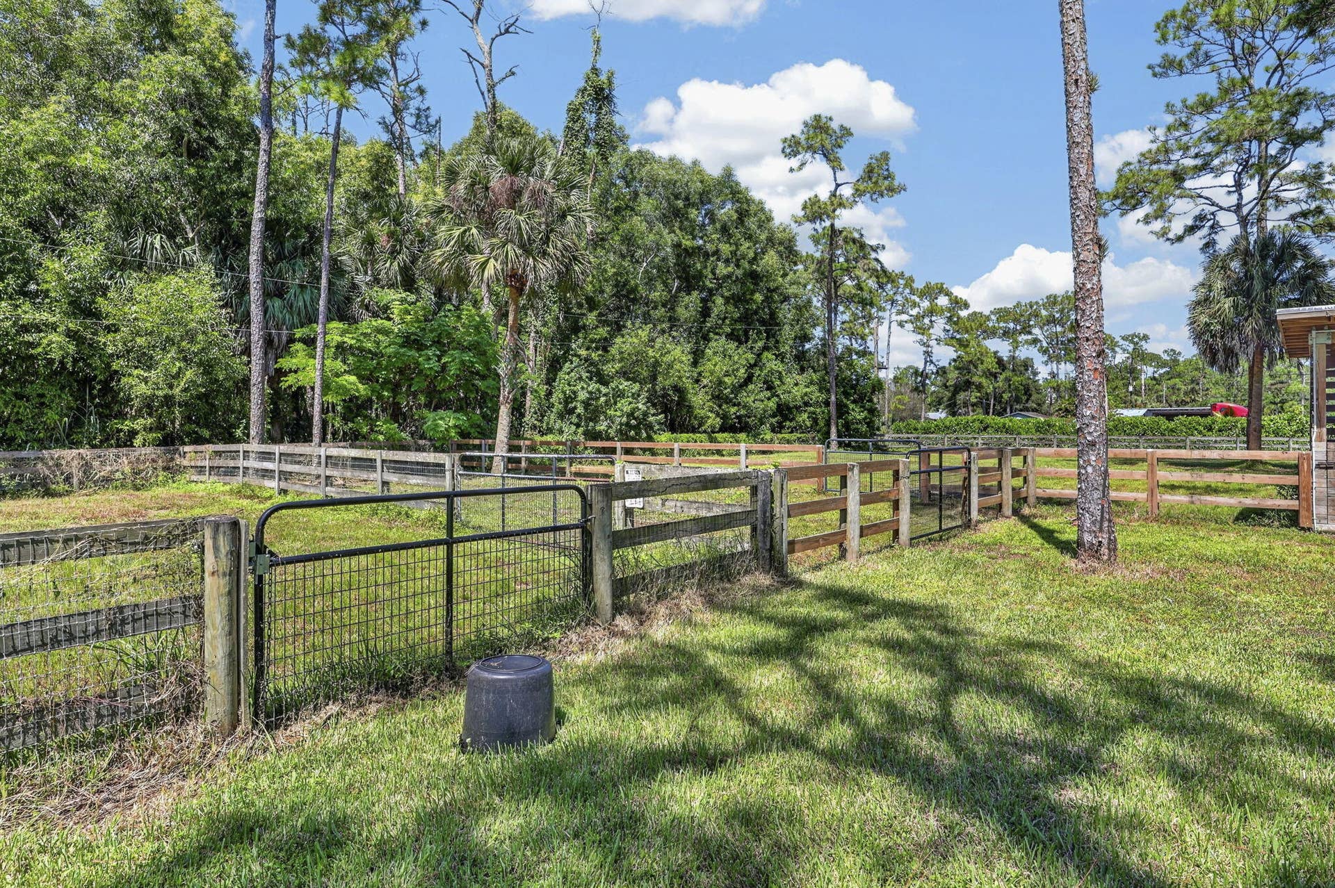 13253 Casey Road, Loxahatchee Groves, FL 33470 69-web-or-mls-BS1A4840